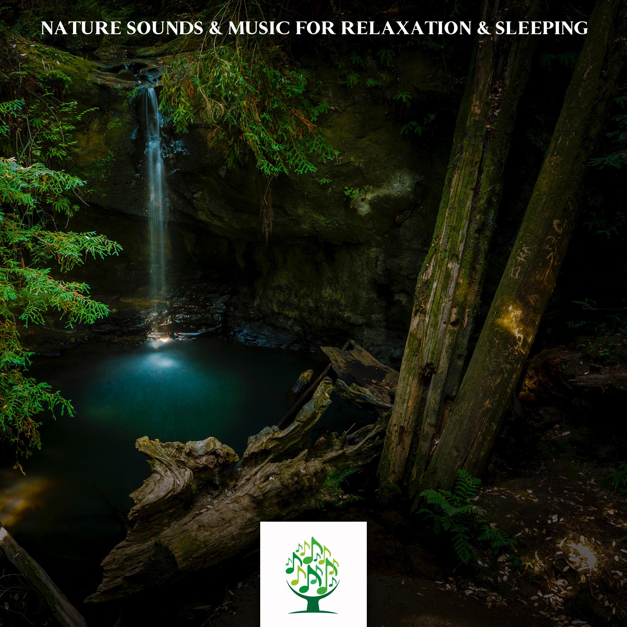 Nature Sounds & Music for Relaxation & Sleeping