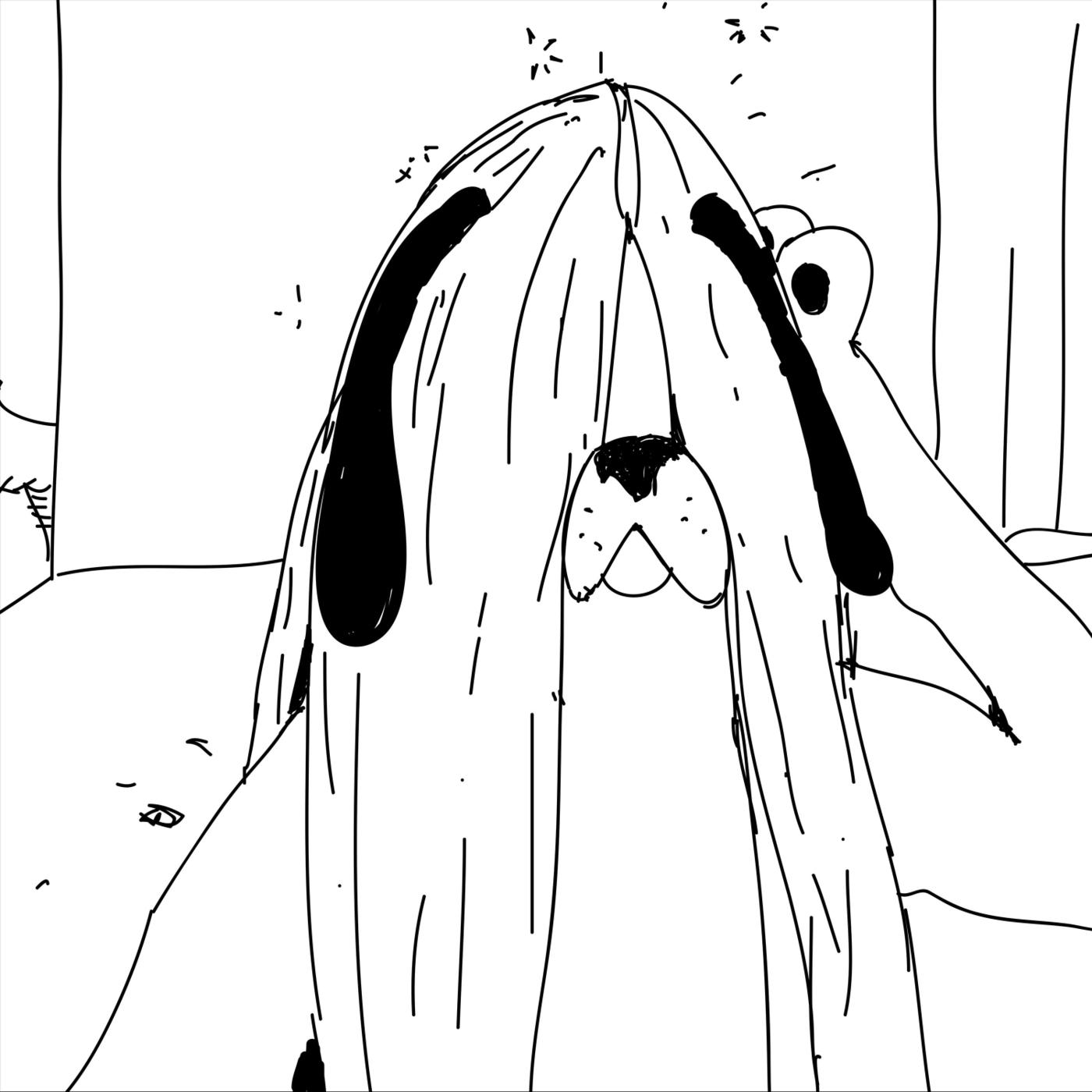 Sans