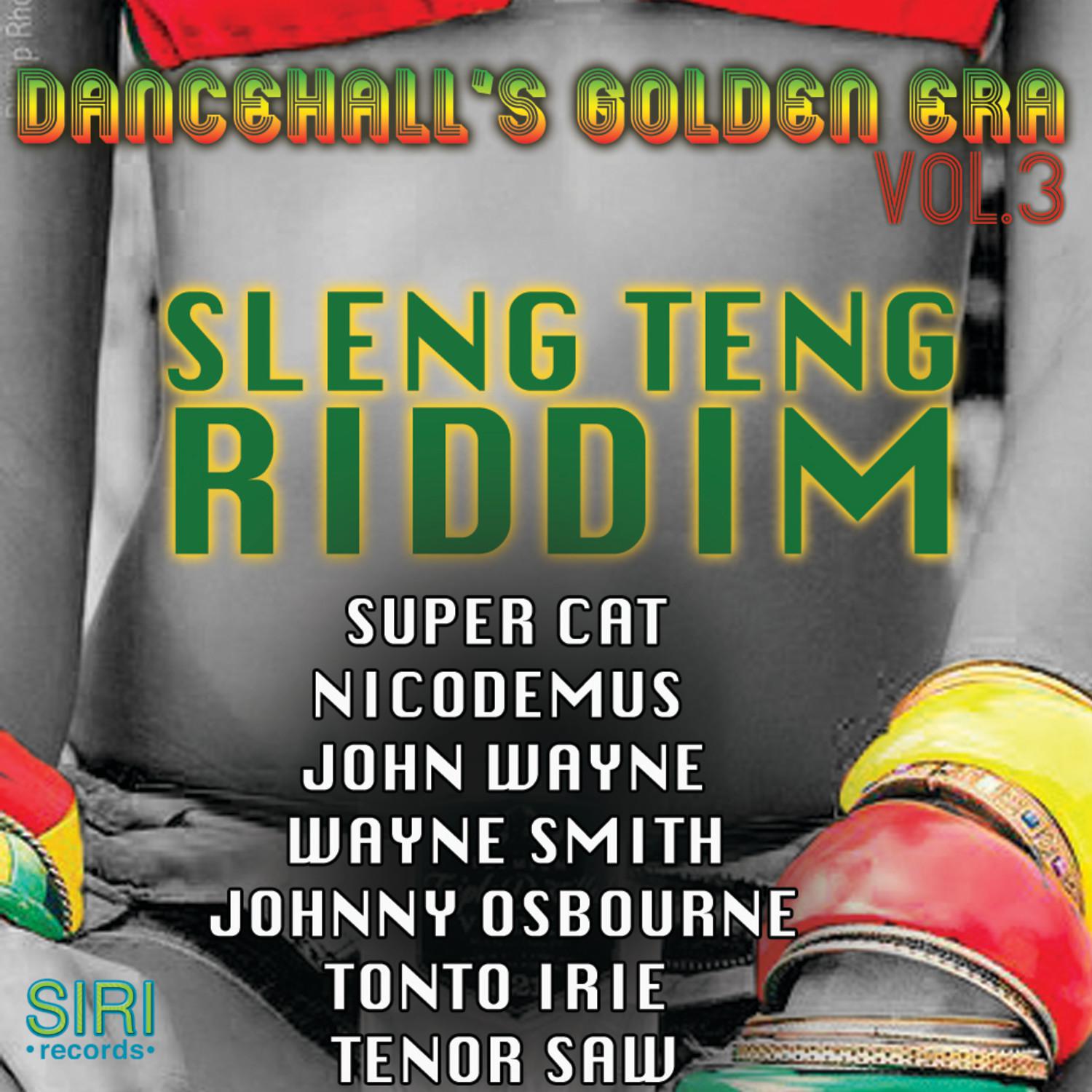 Dancehall's Golden Era Vol.3 - Sleng Teng Riddim