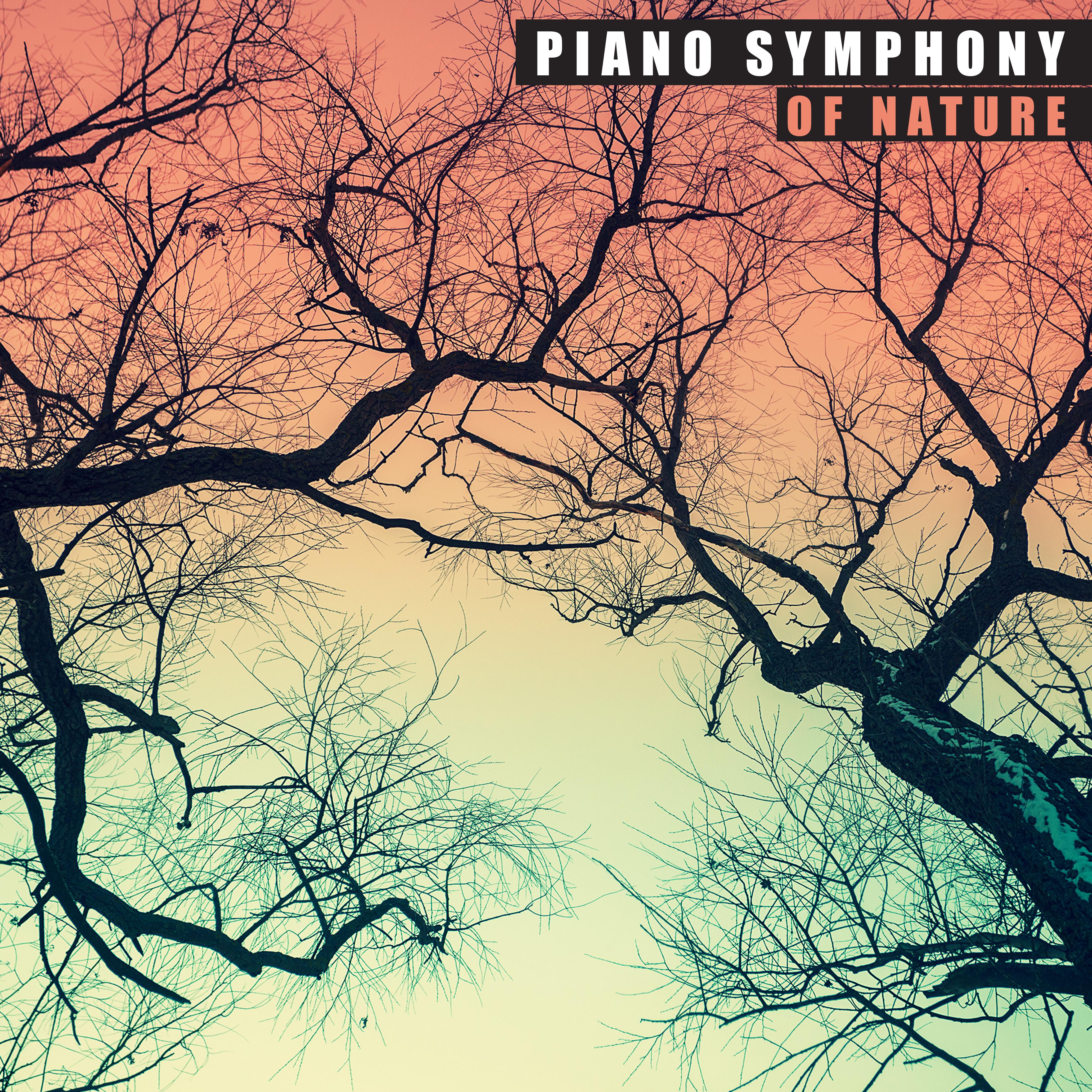 Piano Symphony of Nature: 15 Fresh New Age Songs with Nature Sounds for Total Relax, De-Stress & Calm Down After Tough Day