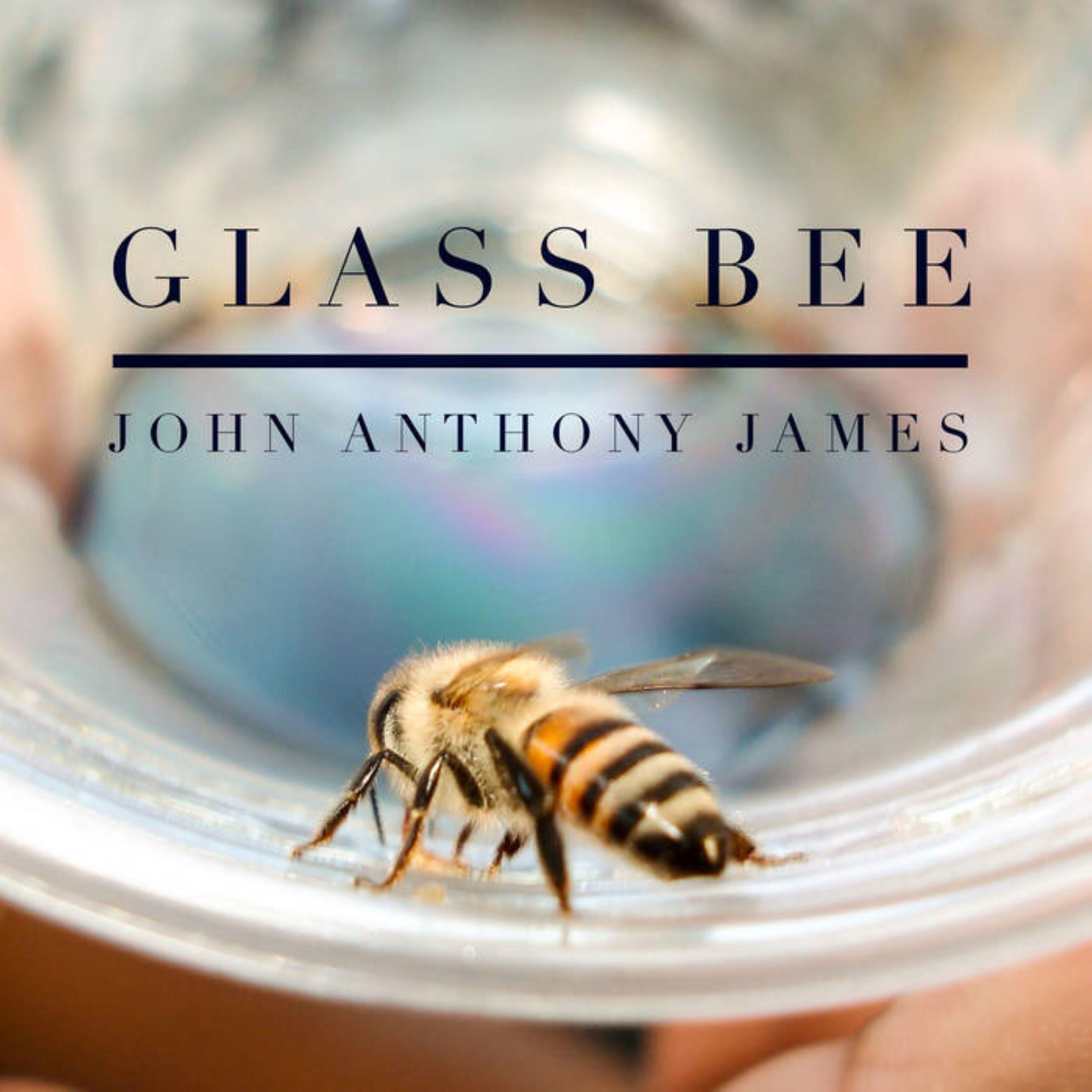 Glass Bee