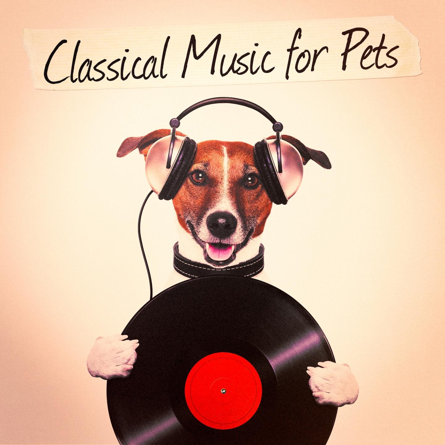 Classical Music for Pets