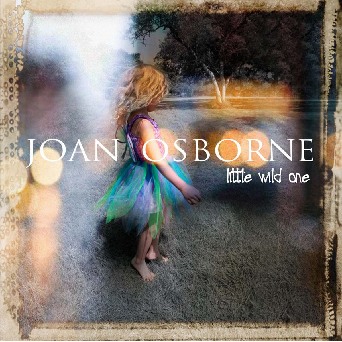 Little Wild One (Album Version)