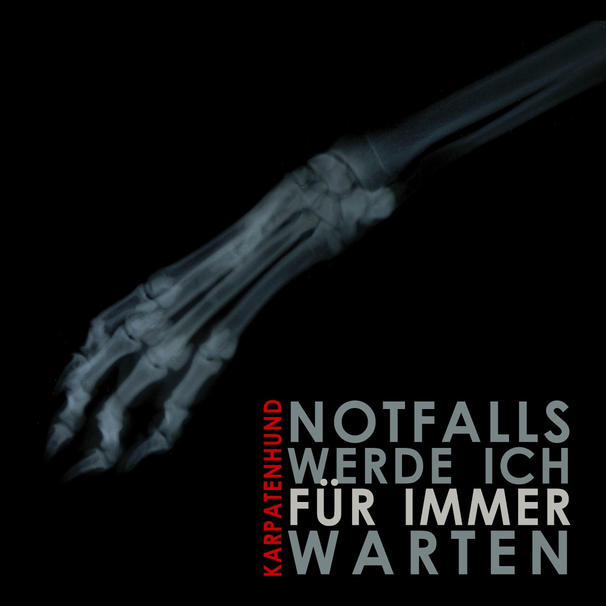 Notfalls Werde Ich Fü r Immer Warten  Egotronic Remix