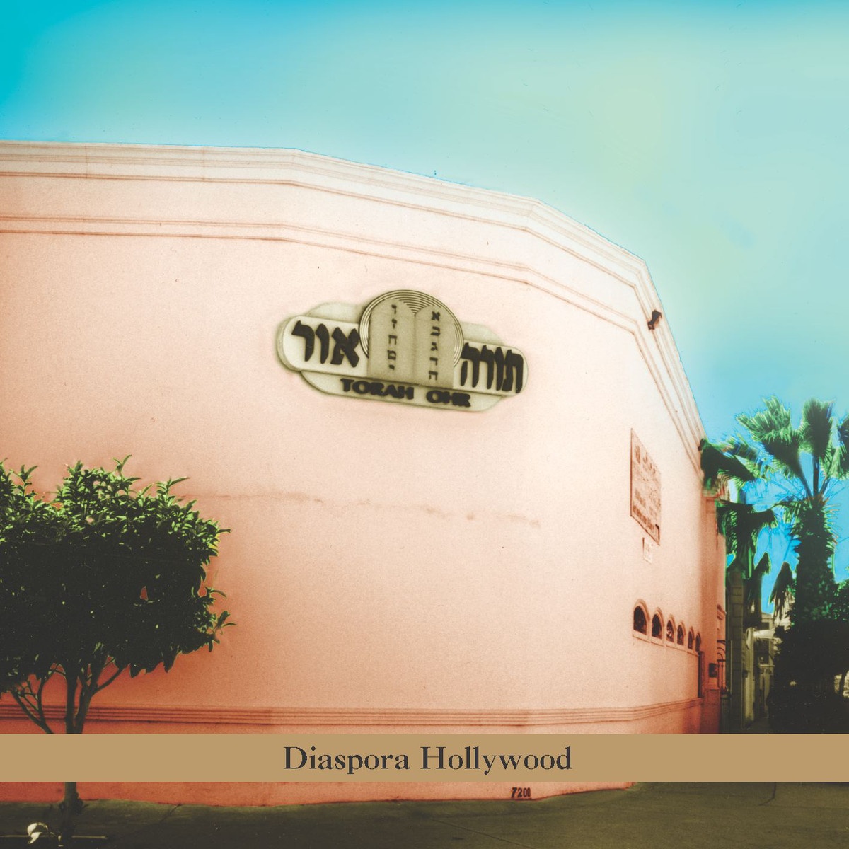 Diaspora Hollywood