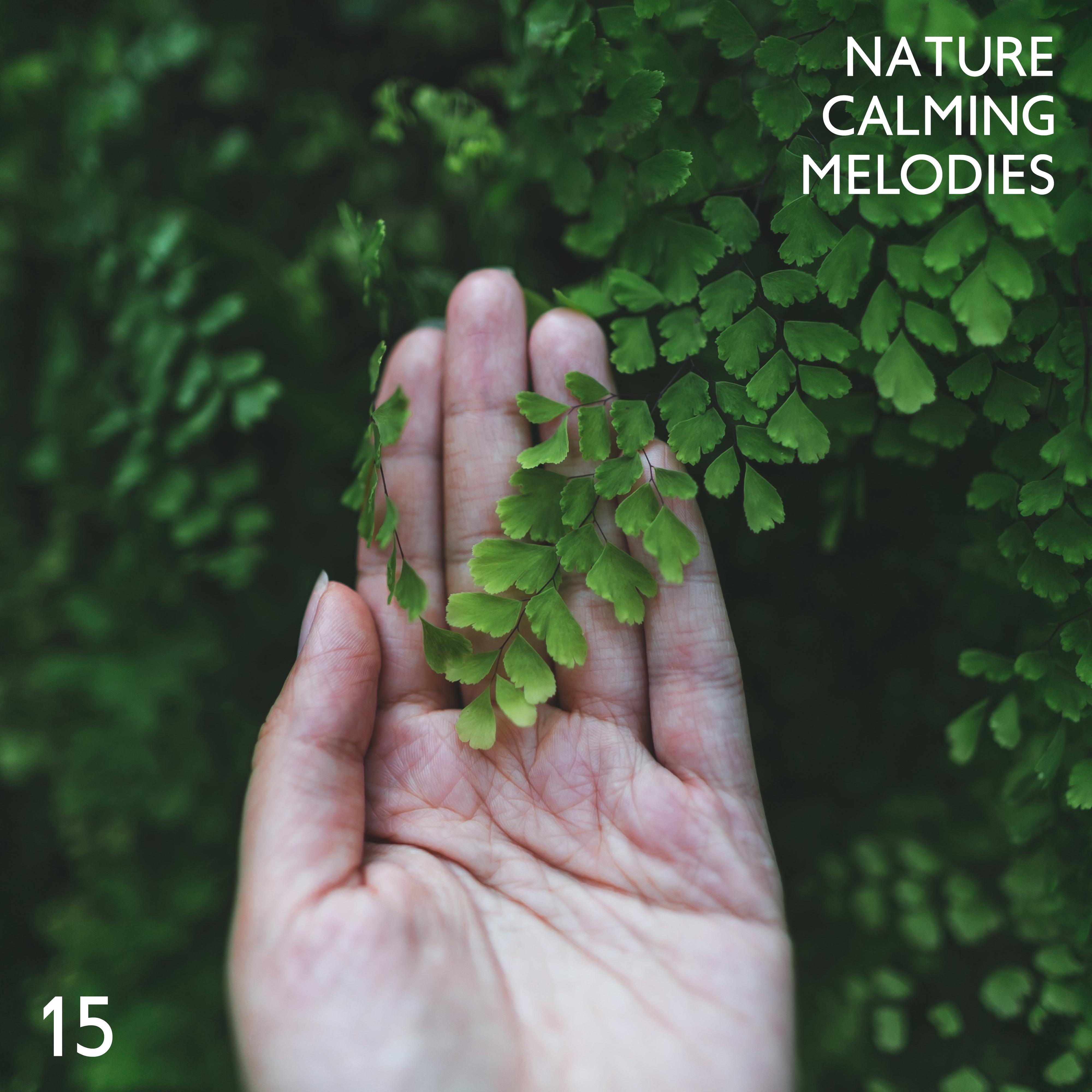15 Nature Calming Melodies: 2019 New Age Nature Songs for Total Relax & Calming Down, Soothing Forest, Wind, Birds & Water Sounds, Anti Stress Music