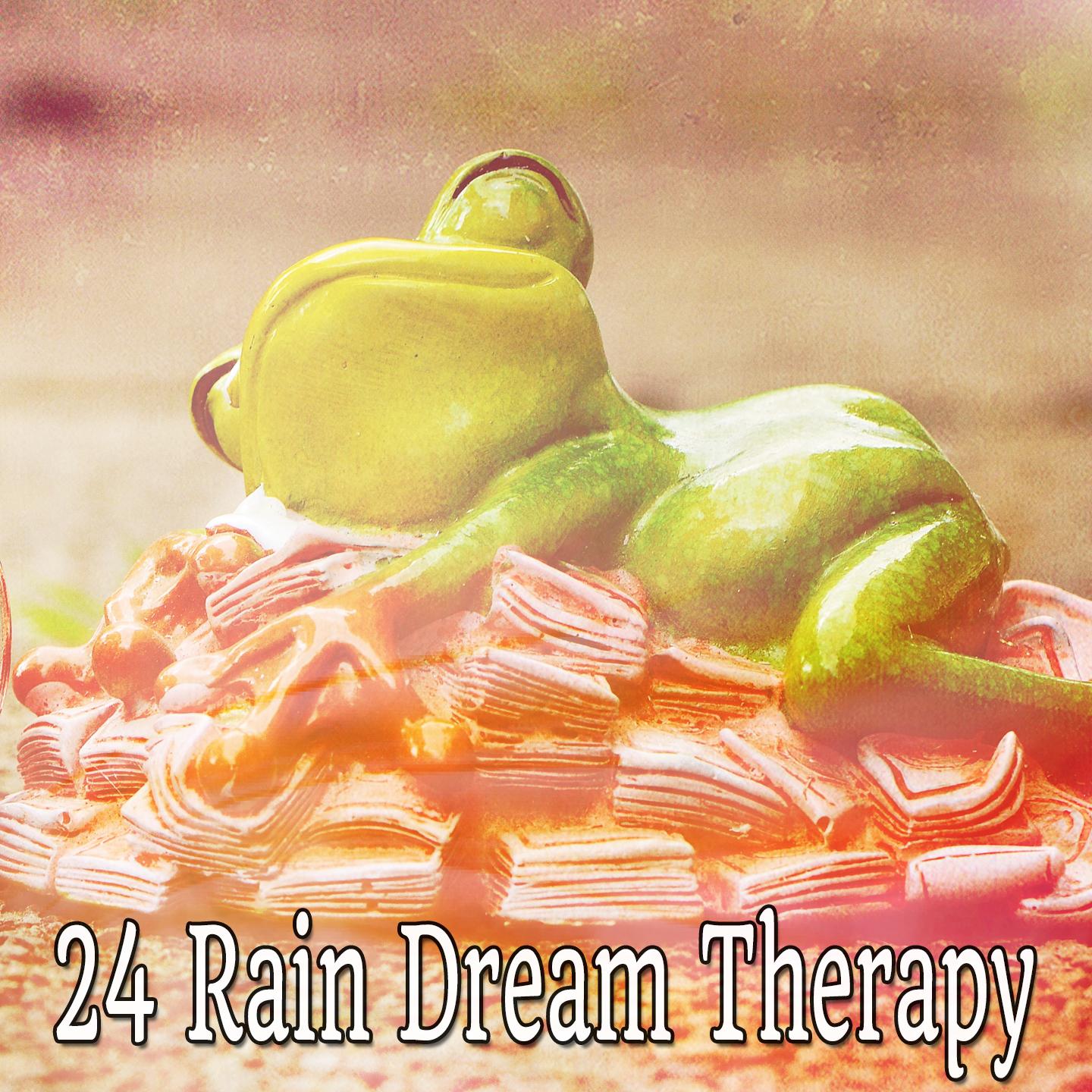 24 Rain Dream Therapy
