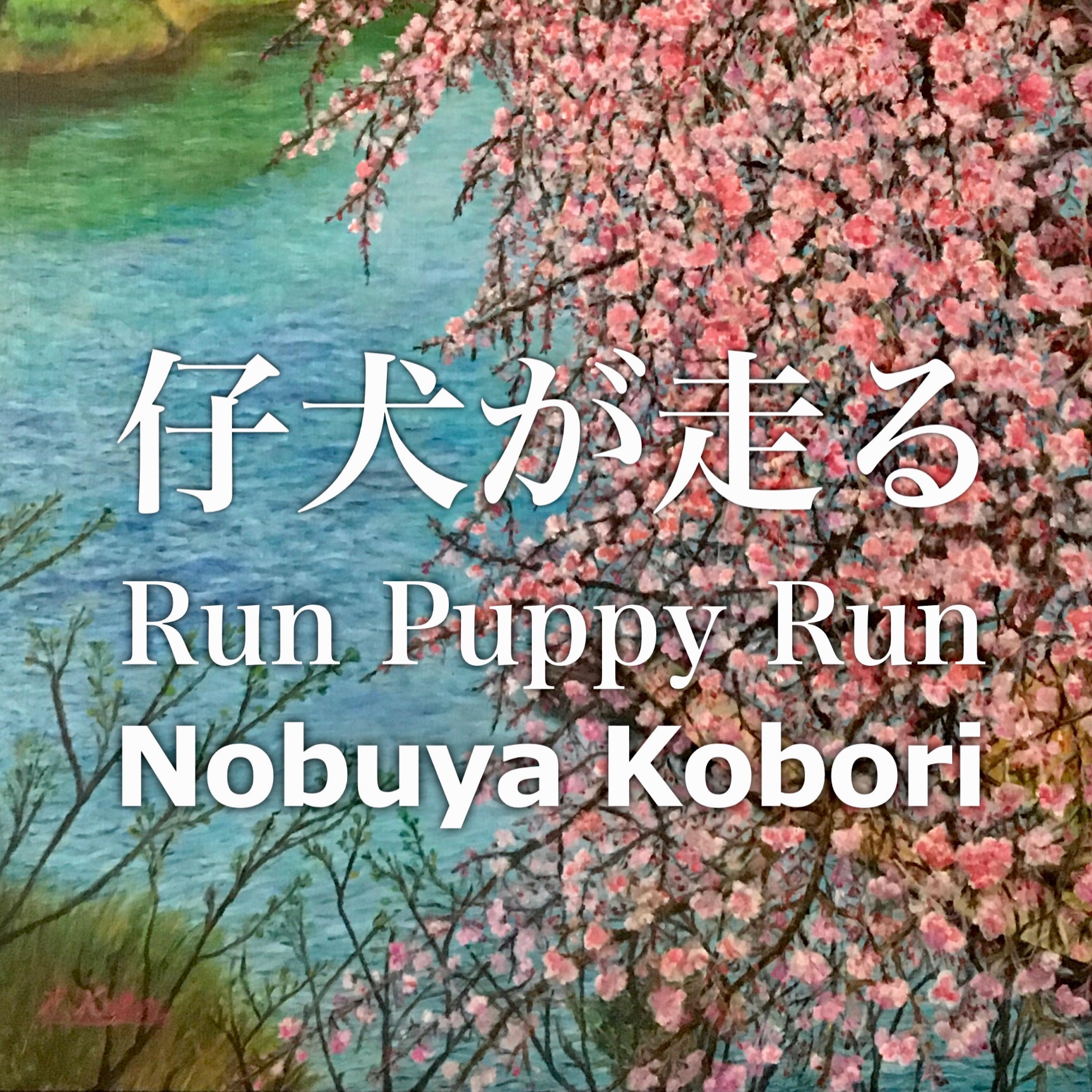 Run Puppy Run
