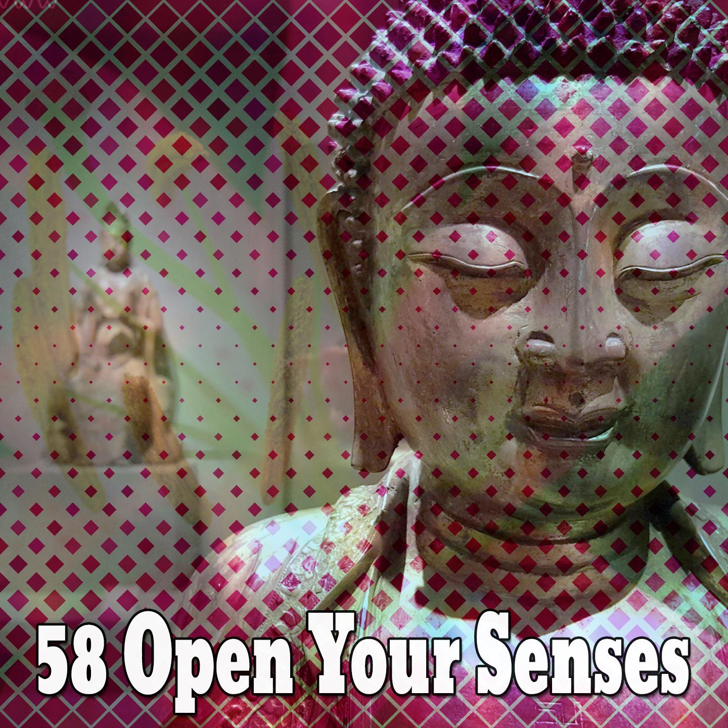 58 Open Your Senses