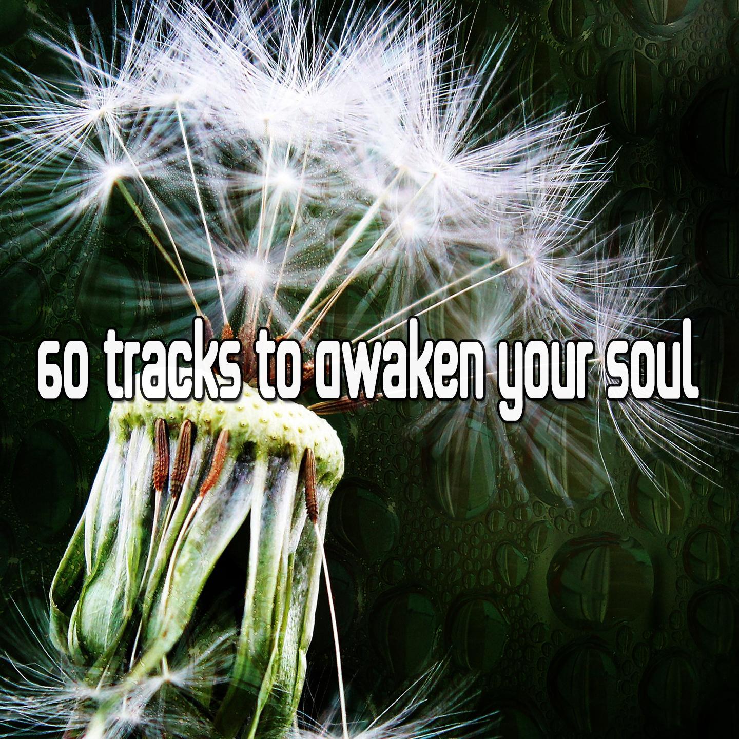 60 Tracks to Awaken Your Soul