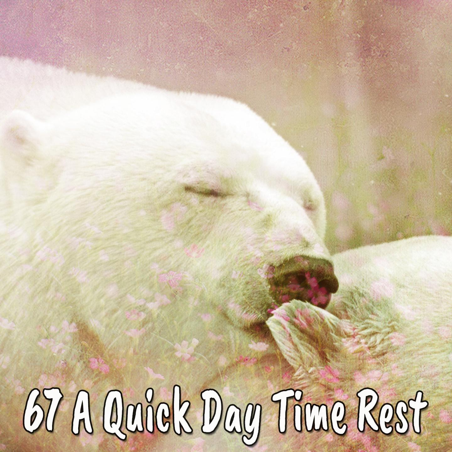 67 A Quick Day Time Rest