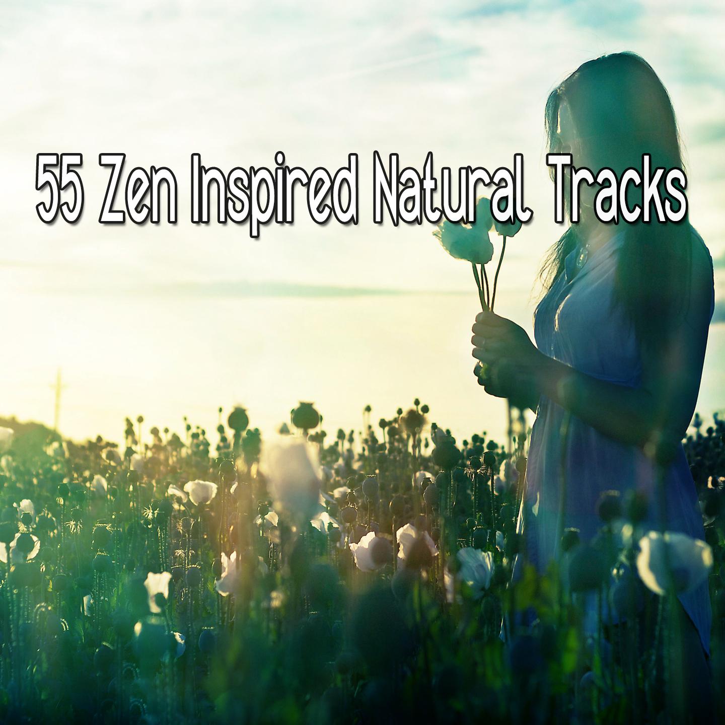 55 Zen Inspired Natural Tracks