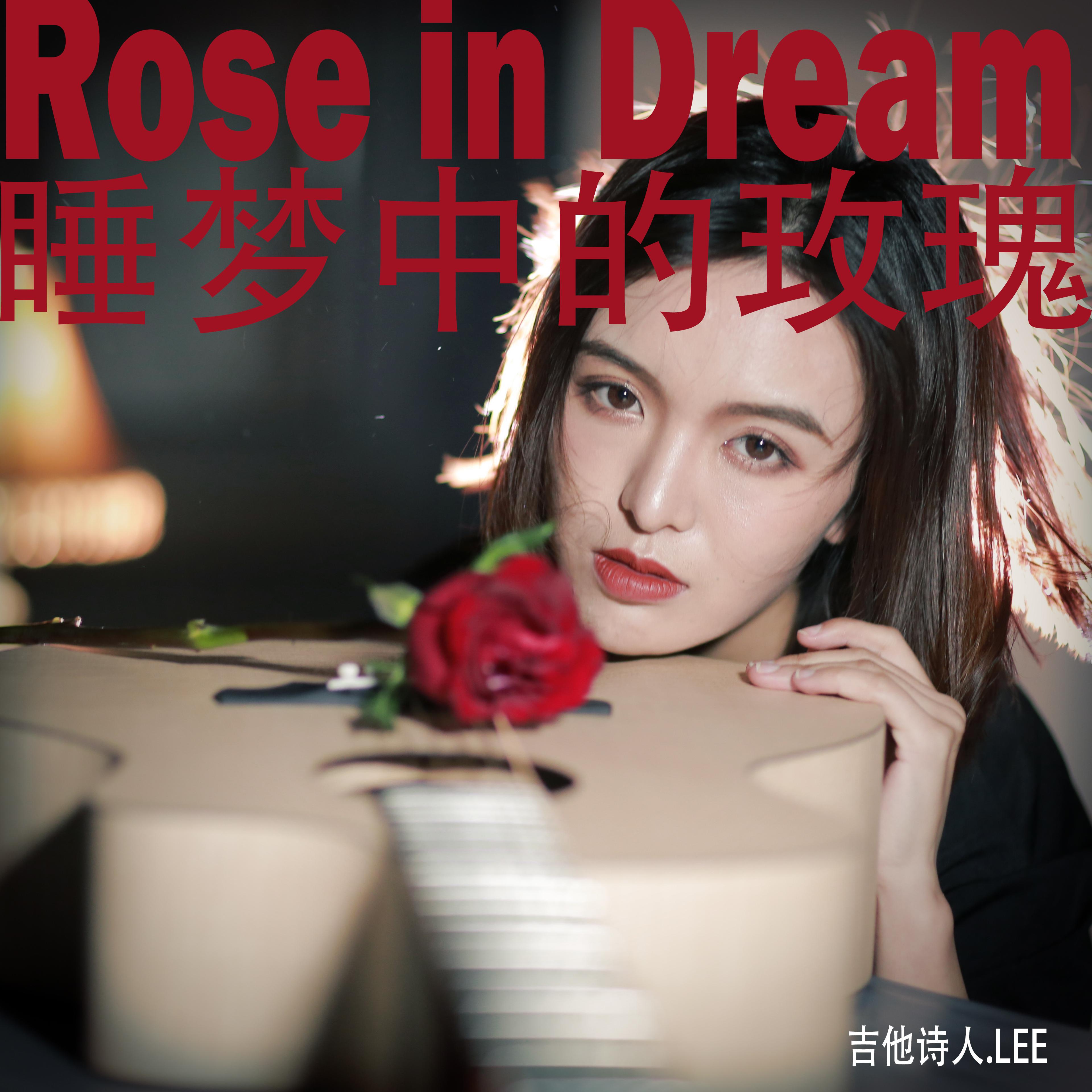 Rose in Dream meng zhong de mei gui