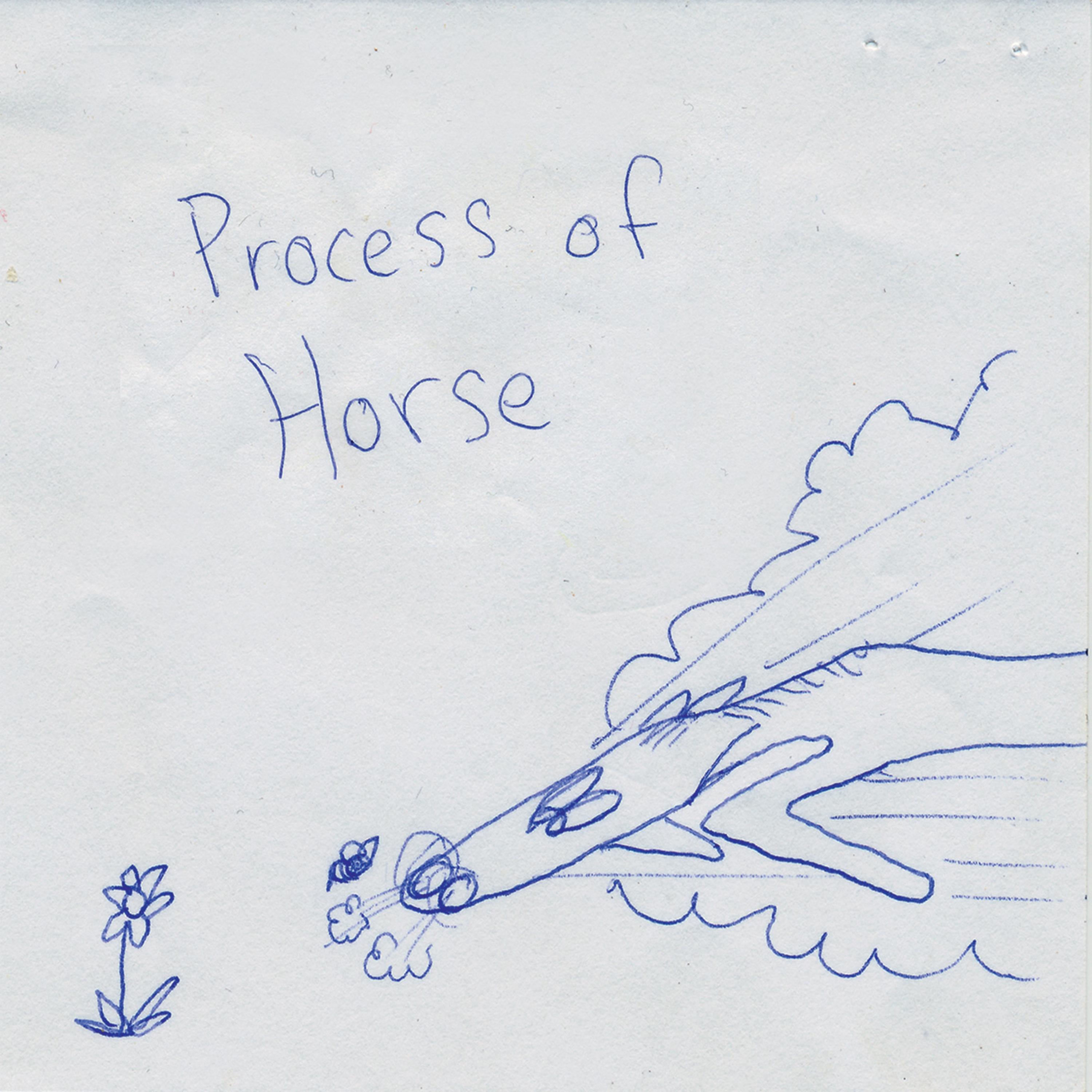 Process Of Horse