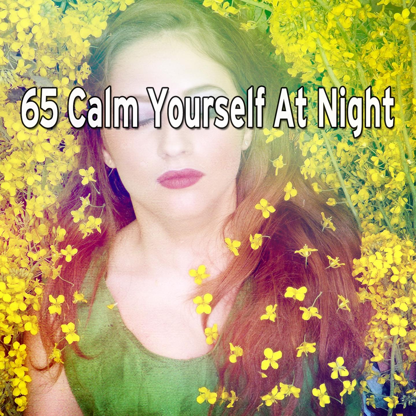 65 Calm Yourself at Night
