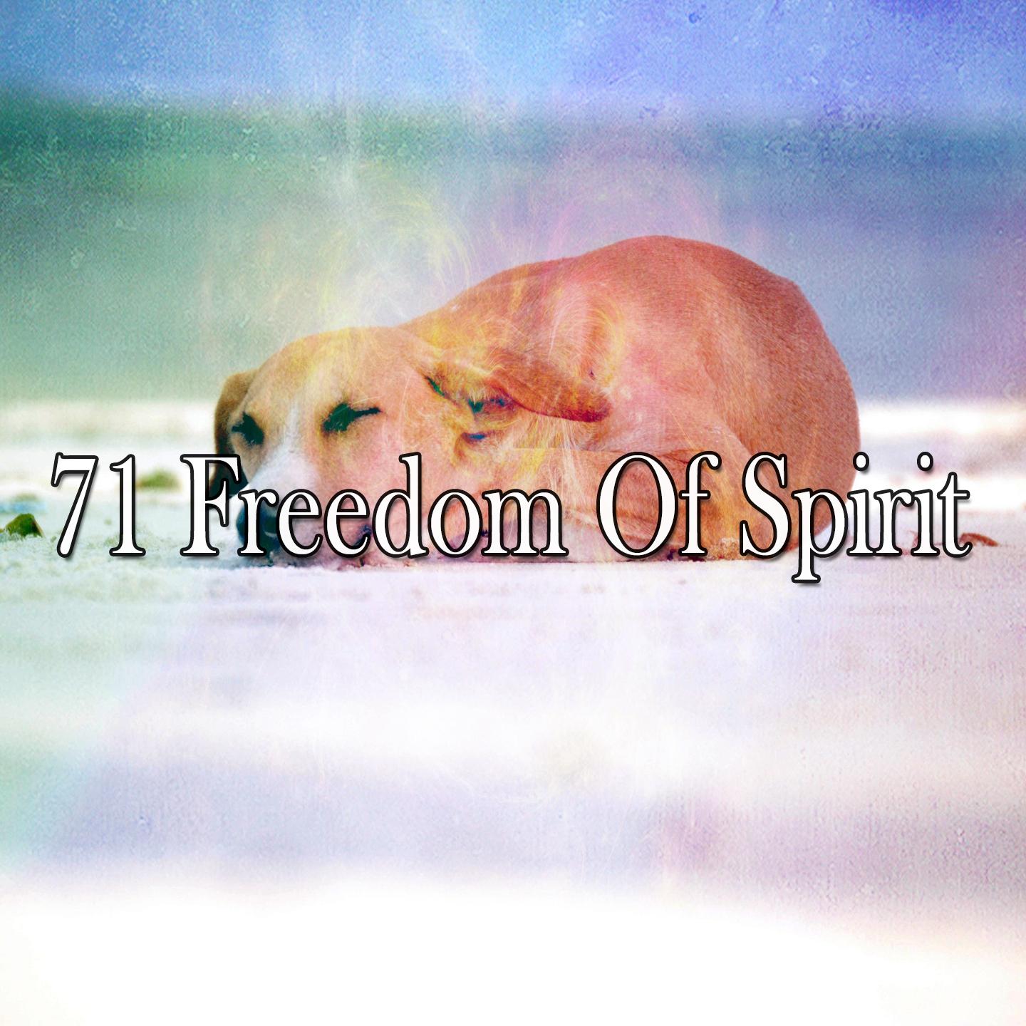 71 Freedom of Spirit
