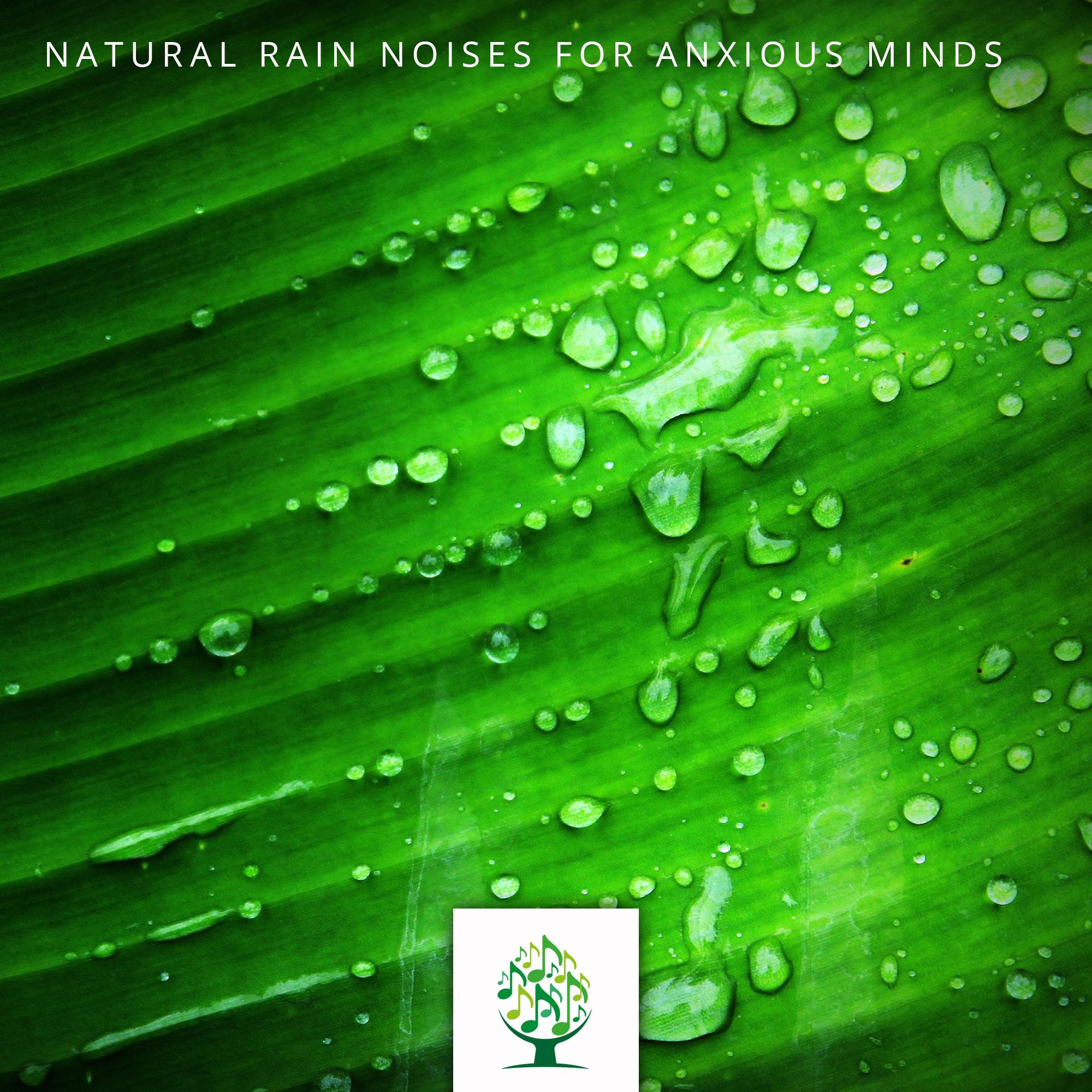 Natural Rain Noises for Anxious Minds
