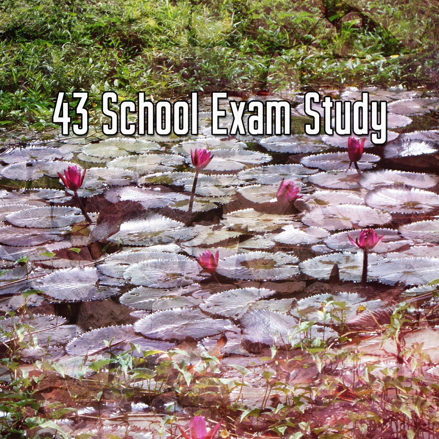 43 School Exam Study