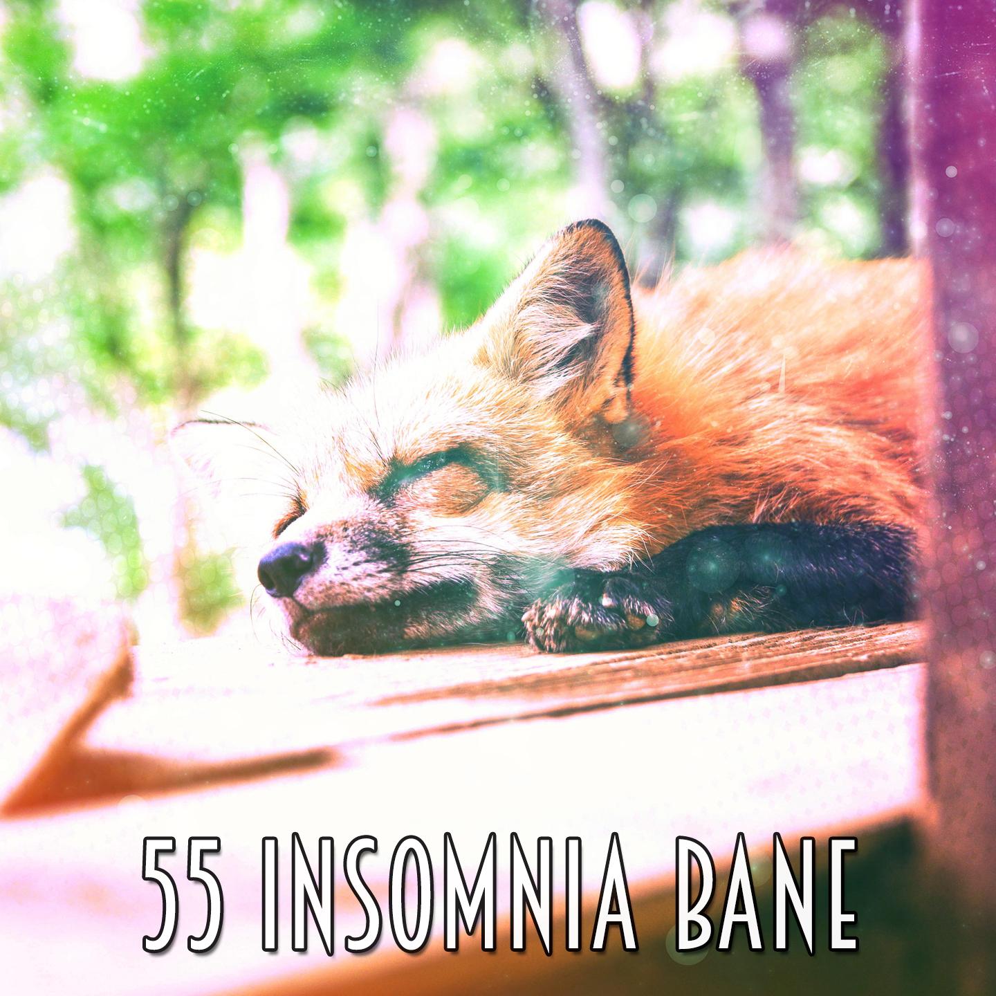 55 Insomnia Bane