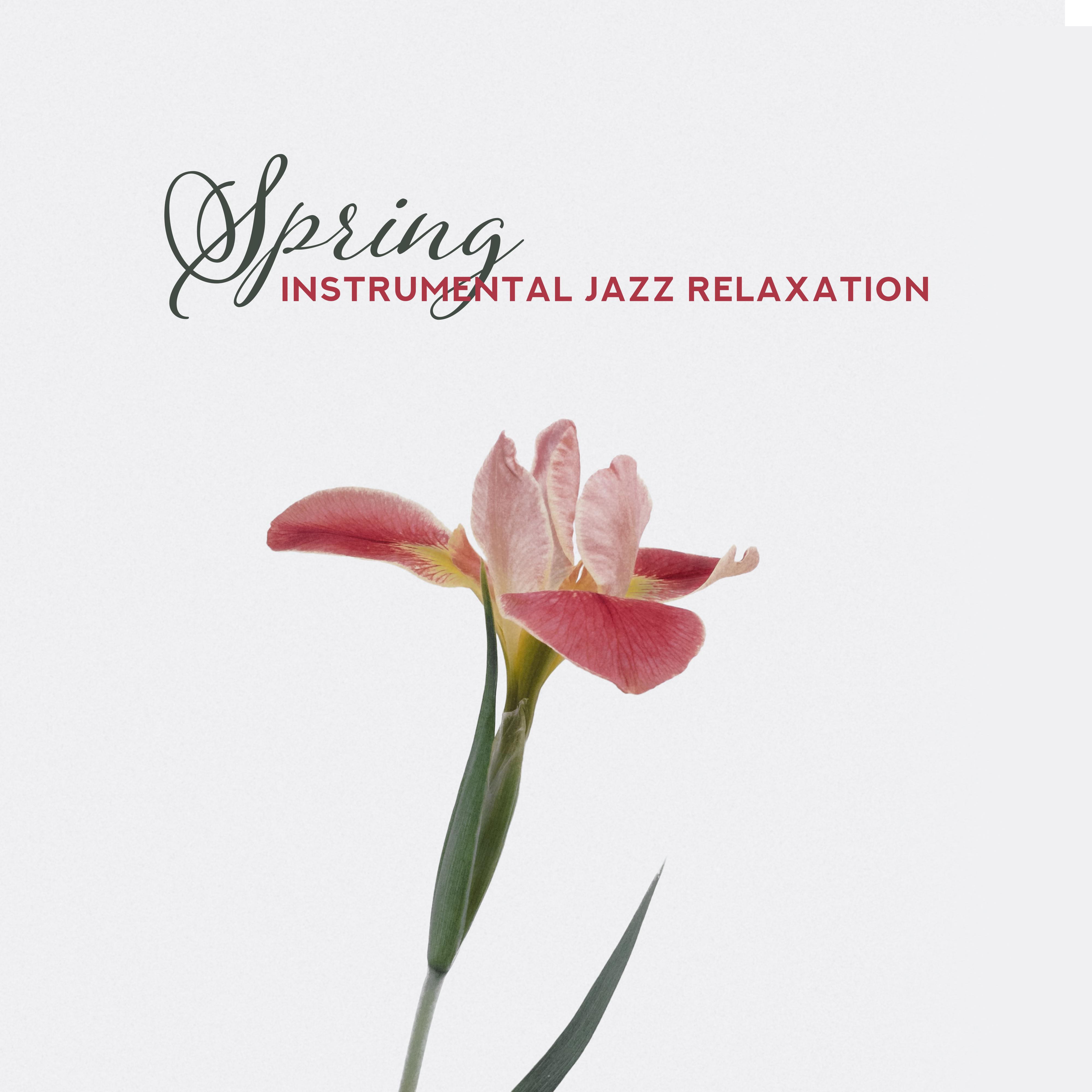 Spring Instrumental Jazz Relaxation