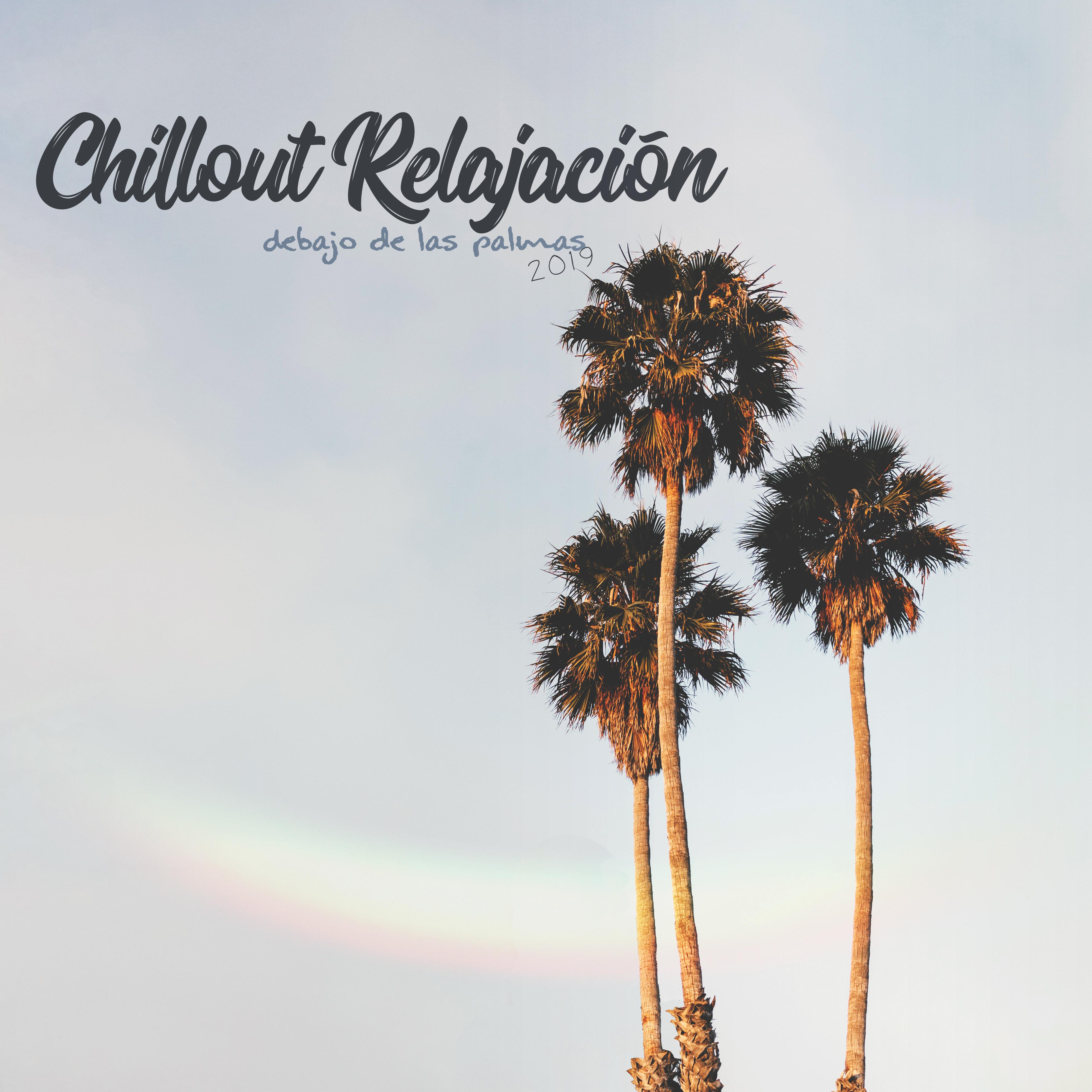 Chillout Relajacio n Debajo de las Palmas 2019