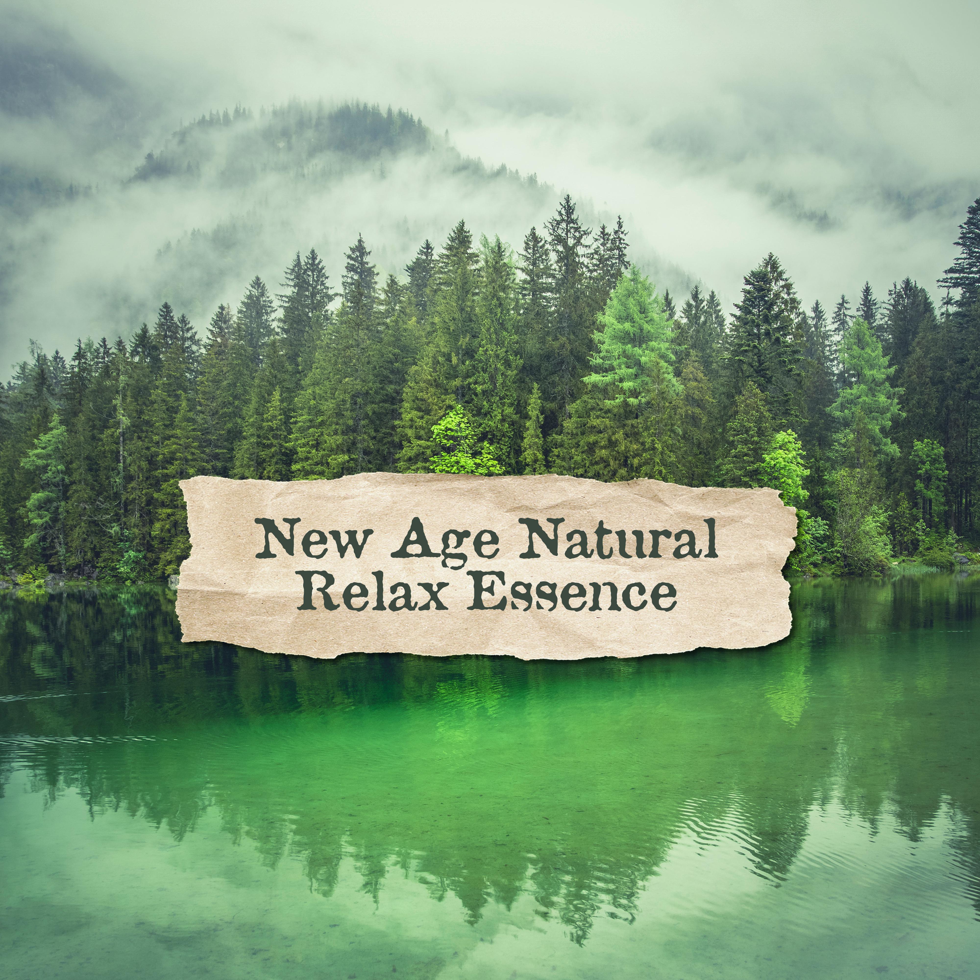 New Age Natural Relax Essence: 15 Soothing Songs with Nature Sounds for Pure Relaxing