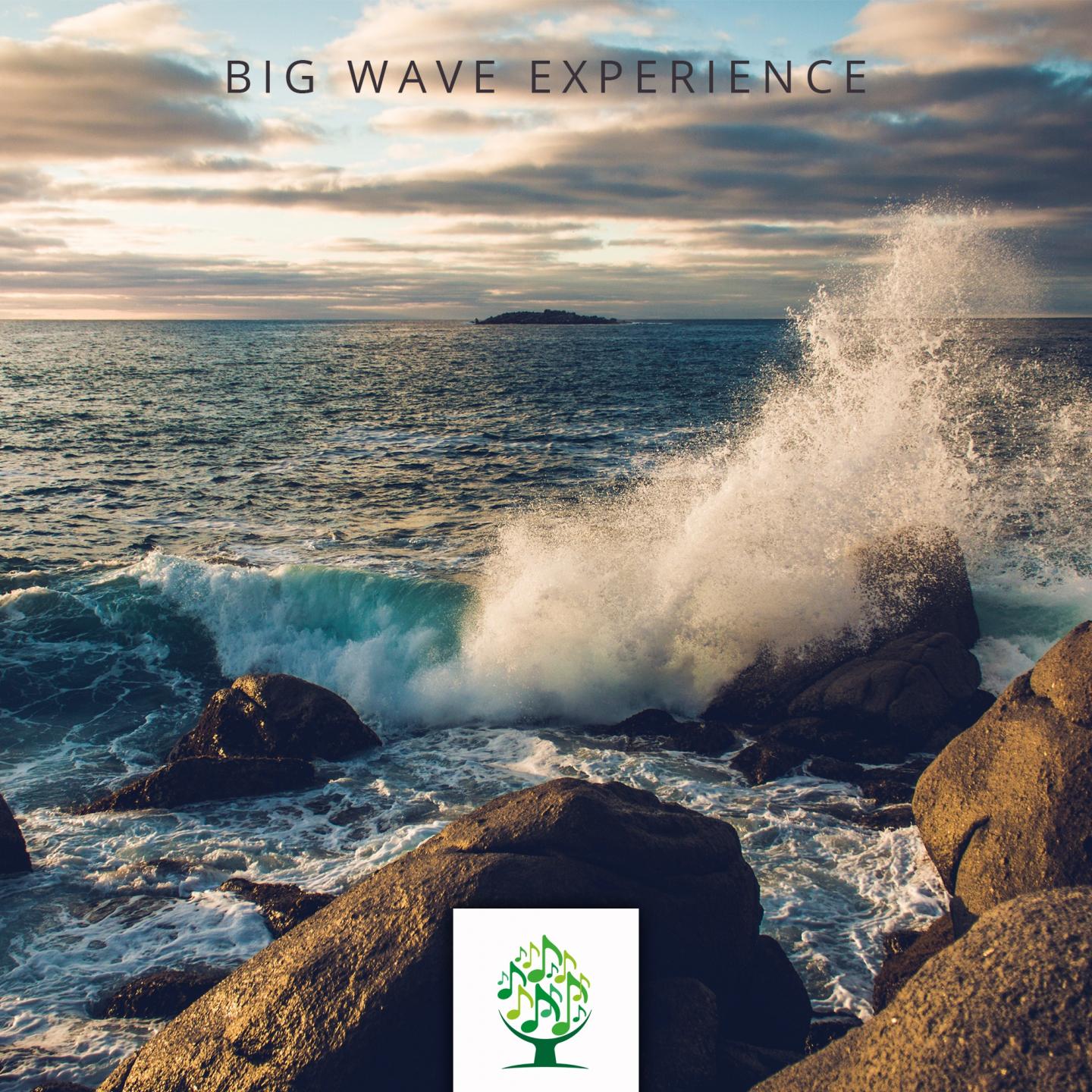 Big Wave Experience