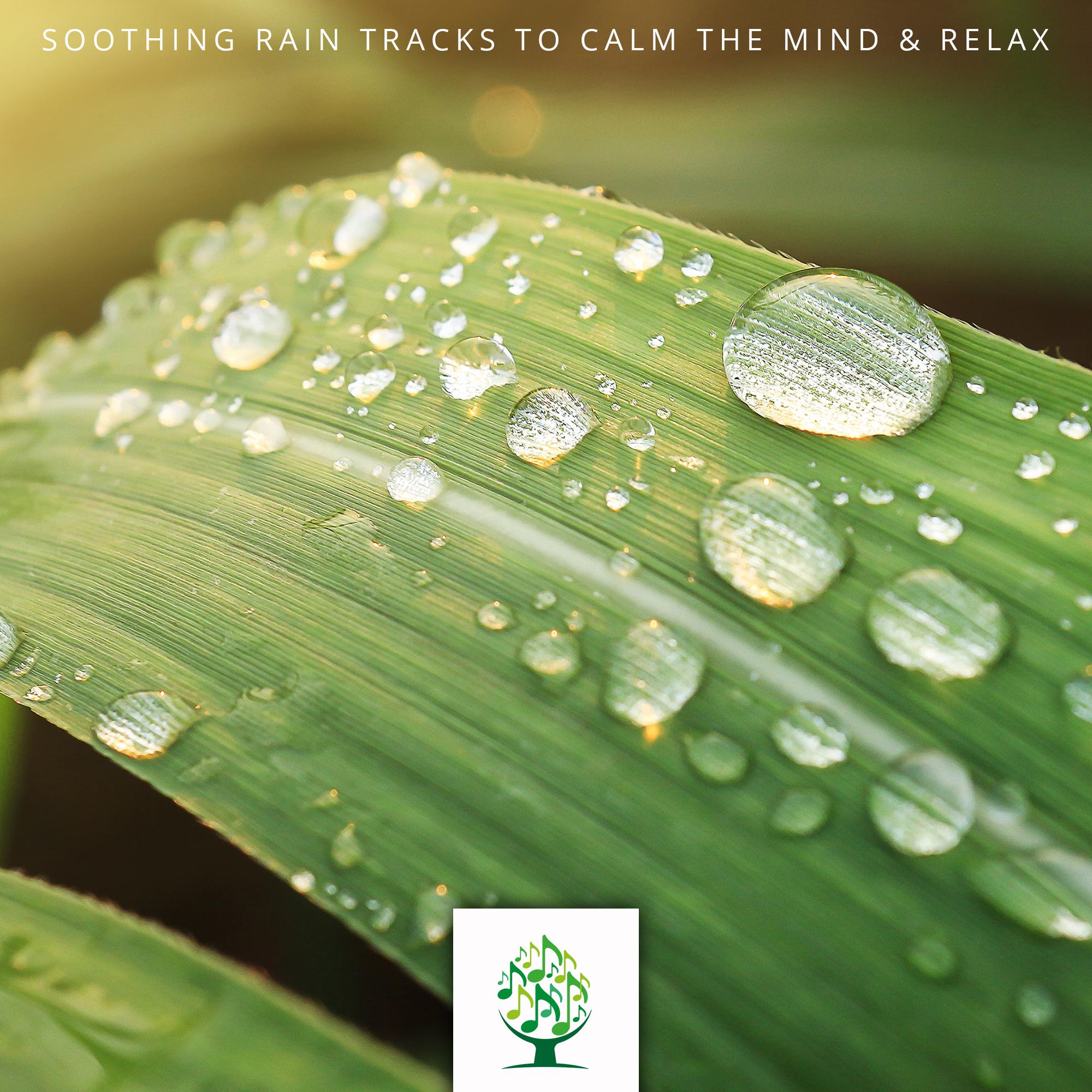 Soothing Rain Tracks to Calm the Mind & Relax
