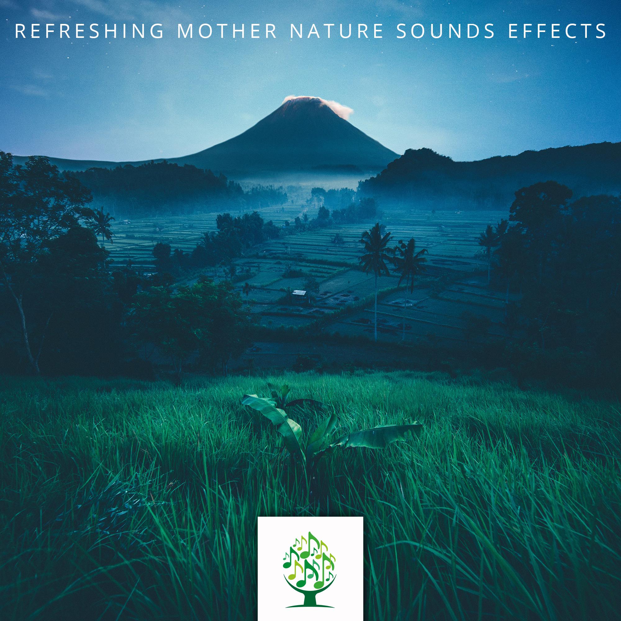 Refreshing Mother Nature Sounds Effects