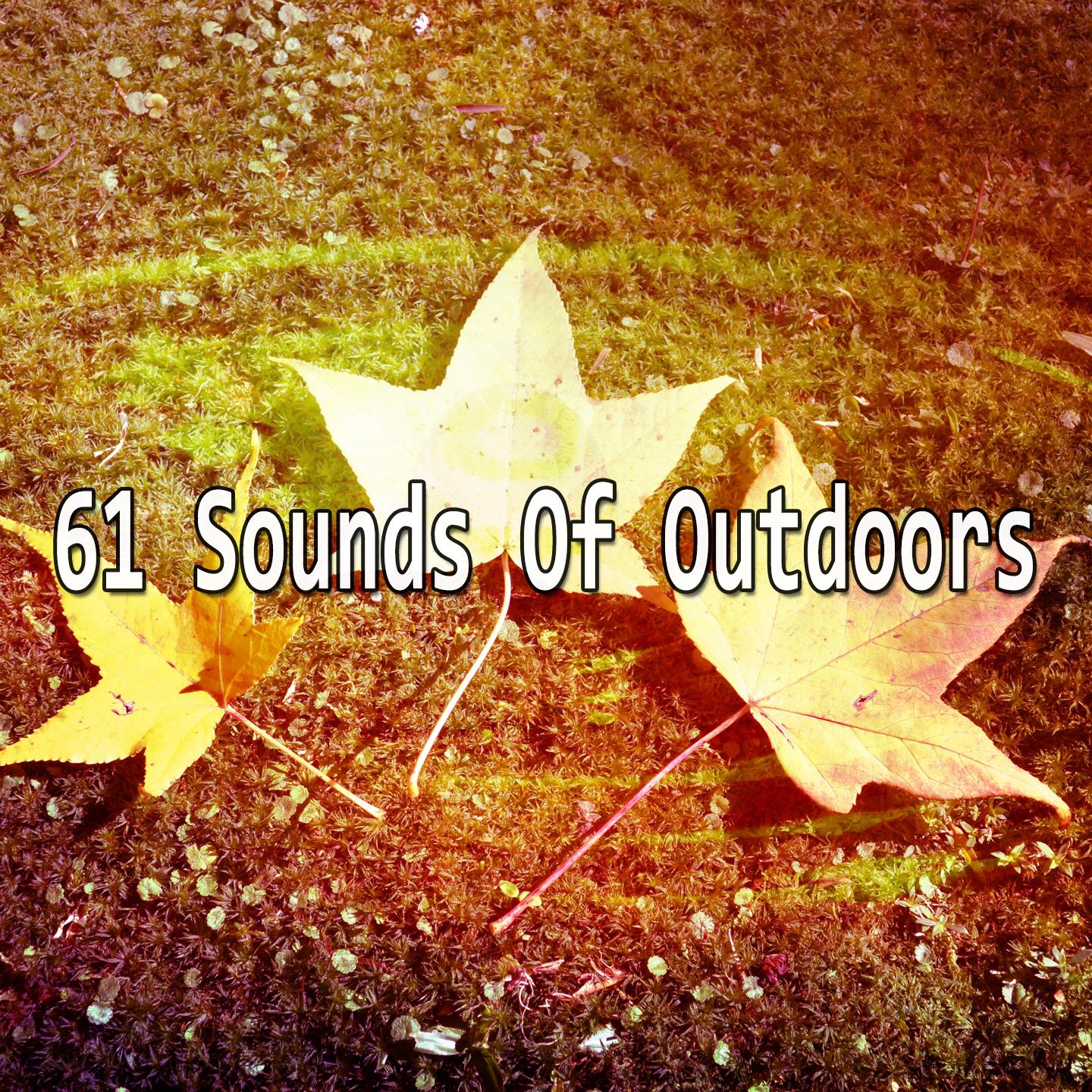 61 Sounds of Outdoors