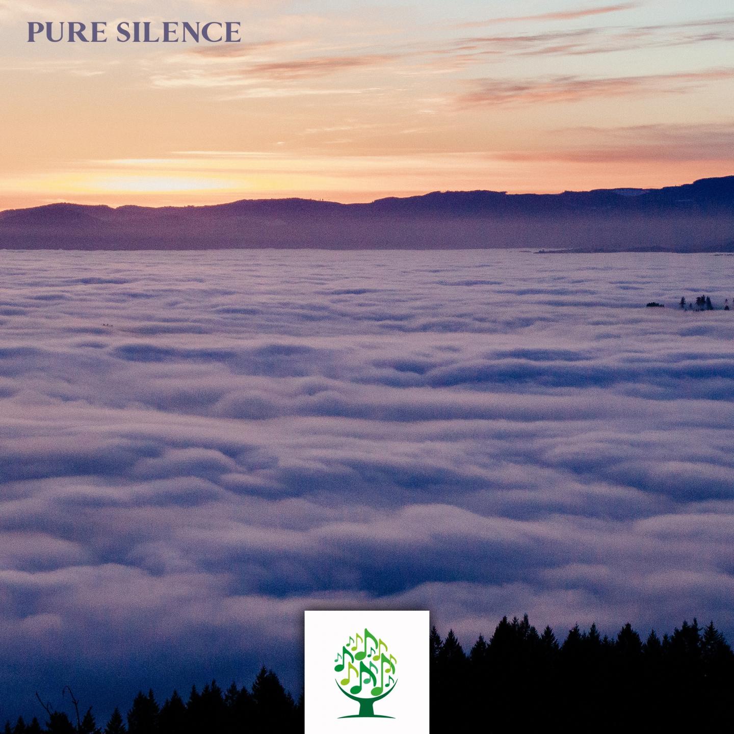 Pure Silence