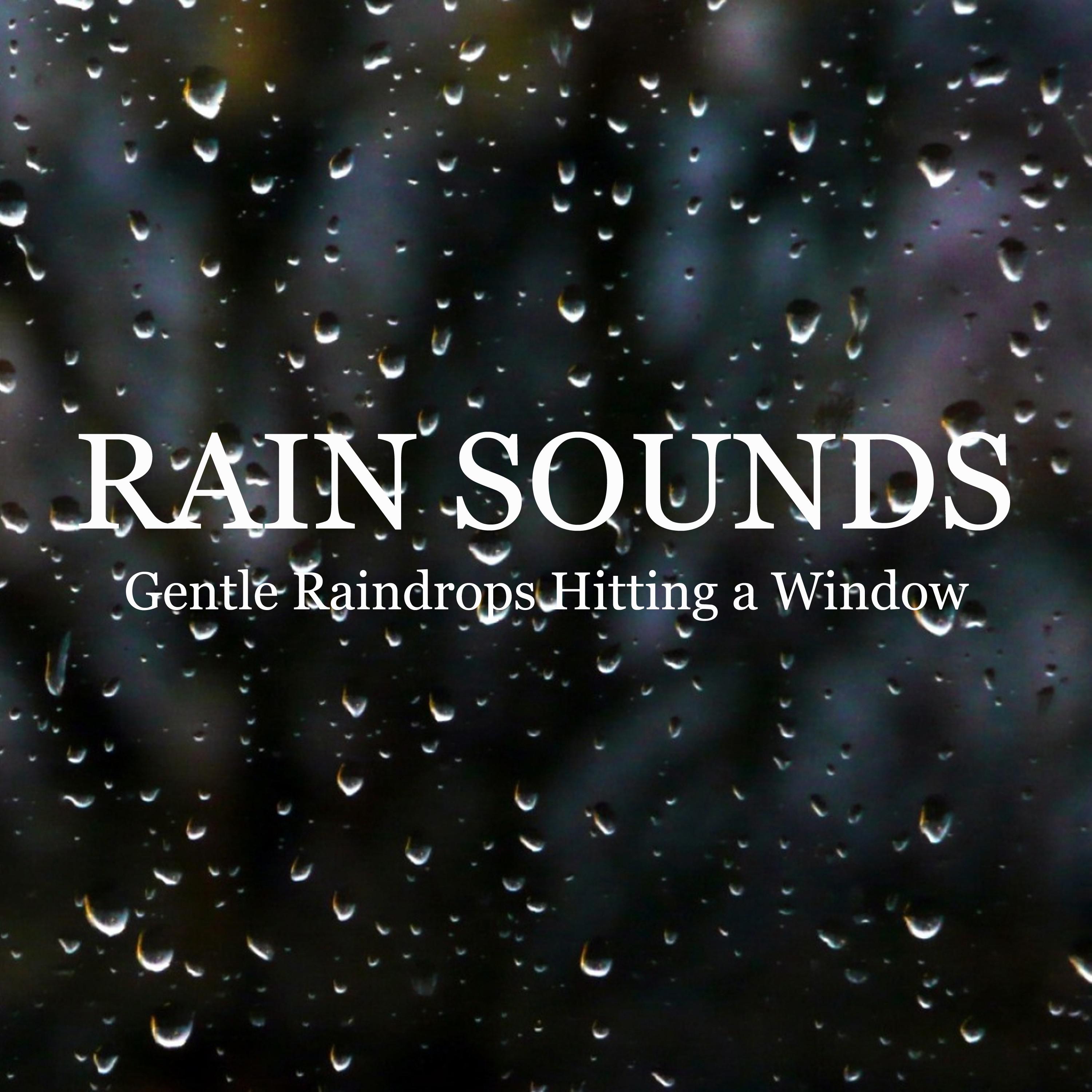 Rain Sounds: Gentle Raindrops Hitting a Window