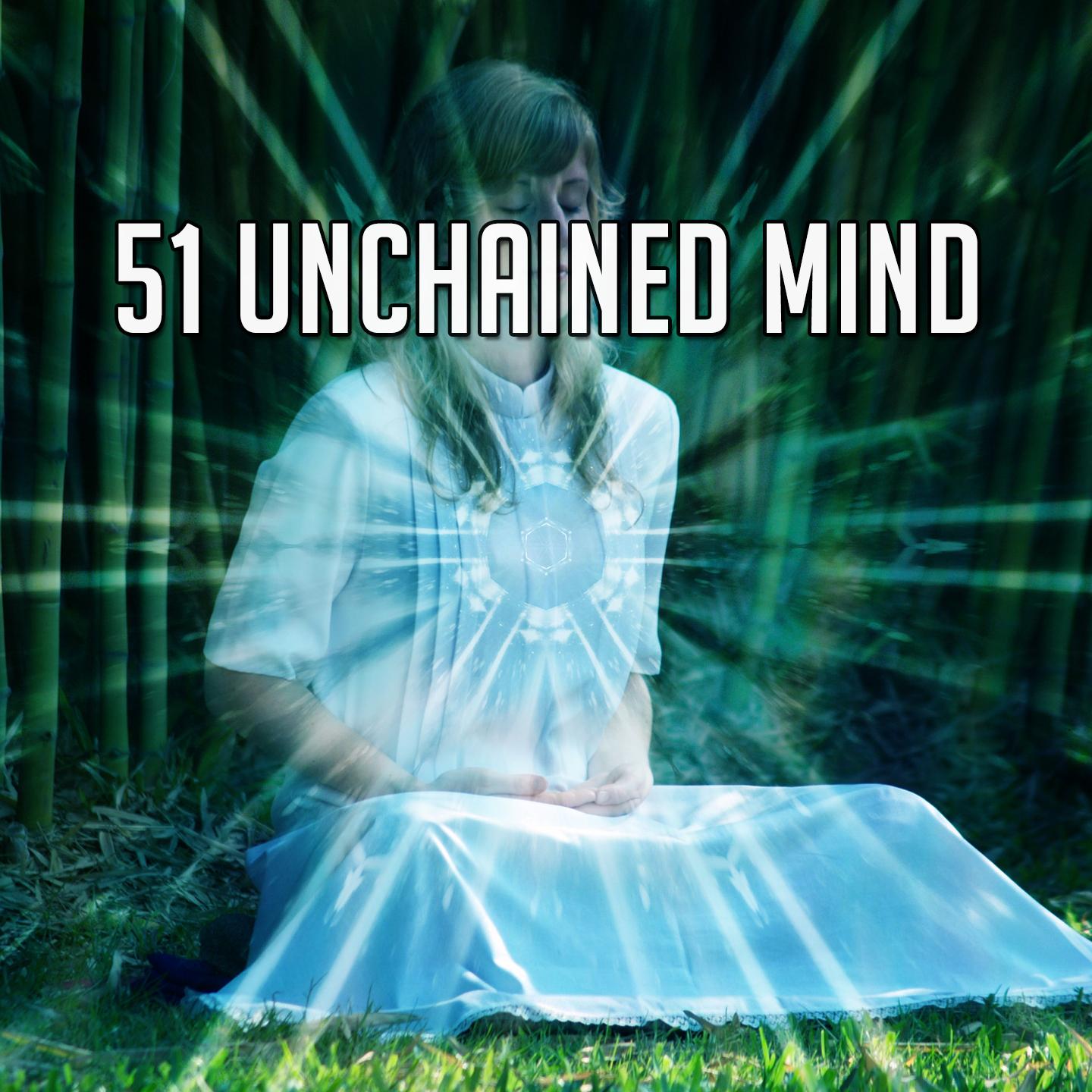 51 Unchained Mind