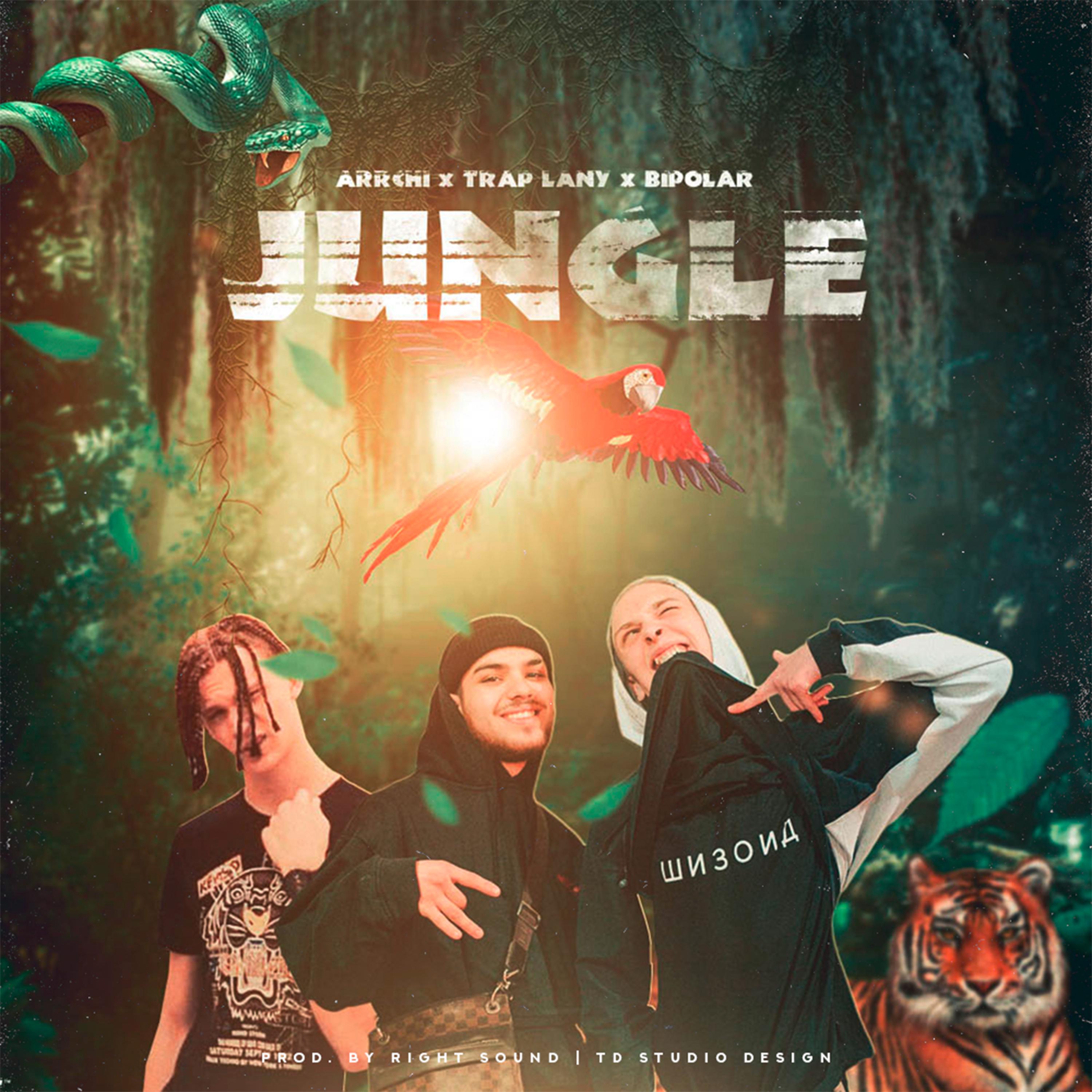 Jungle