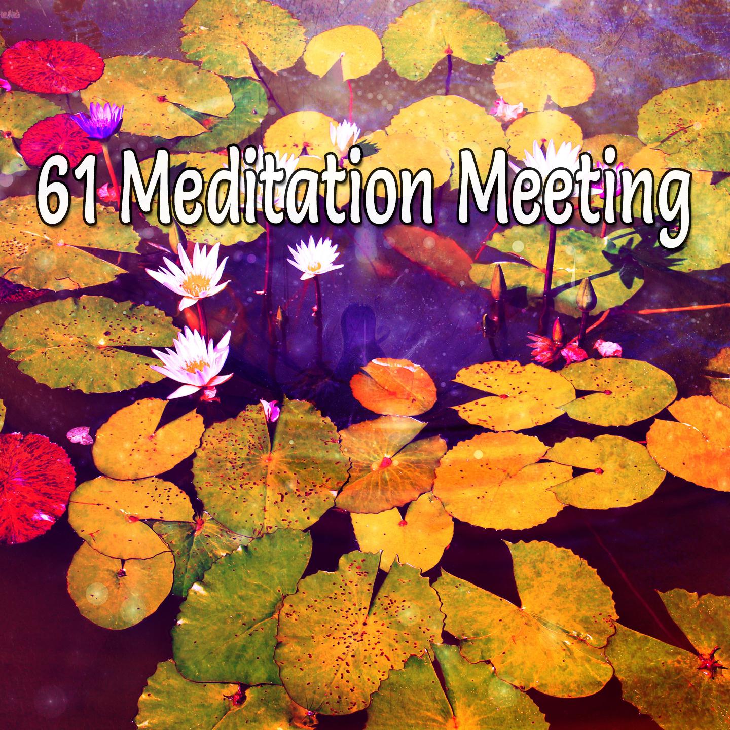 61 Meditation Meeting