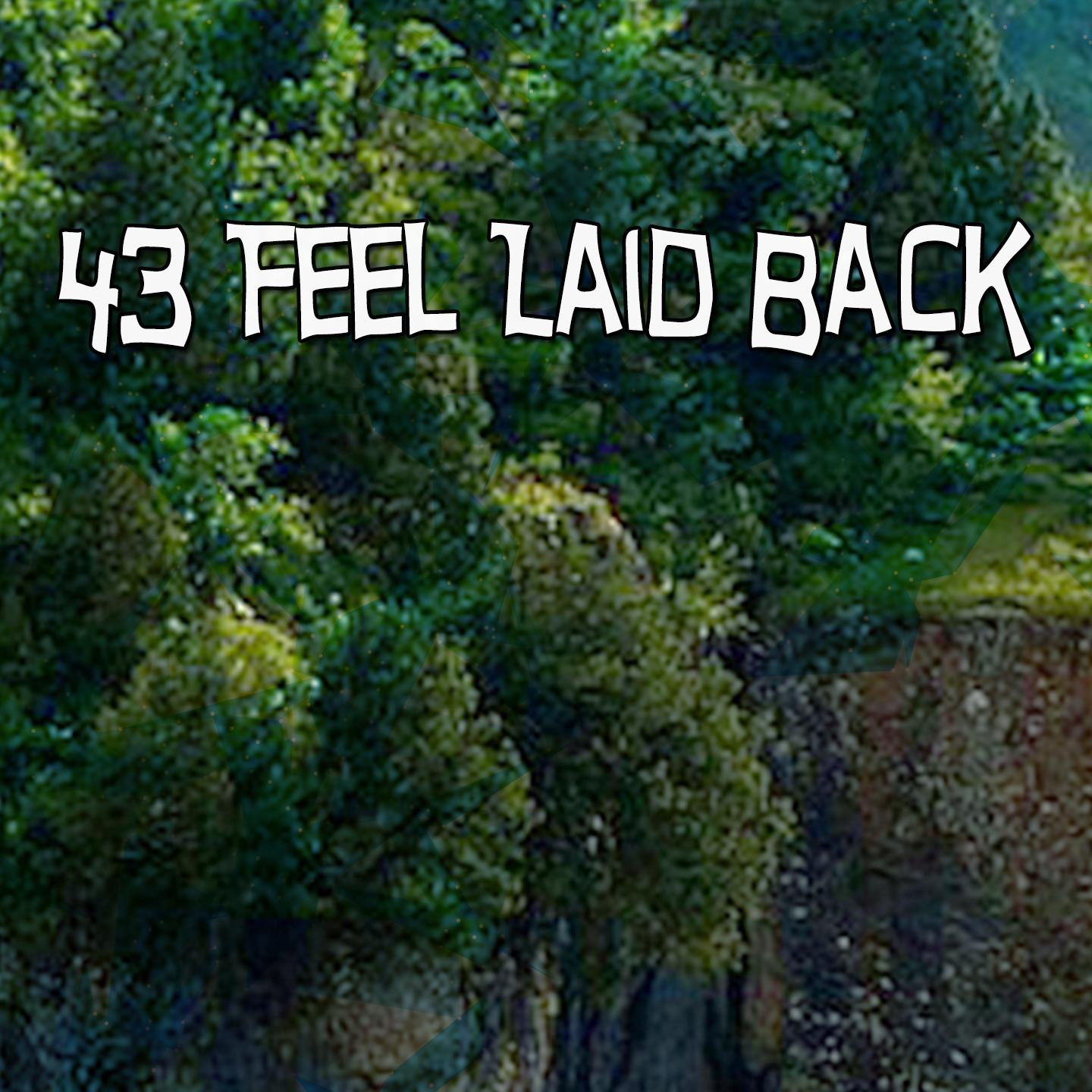 43 Feel Laid Back