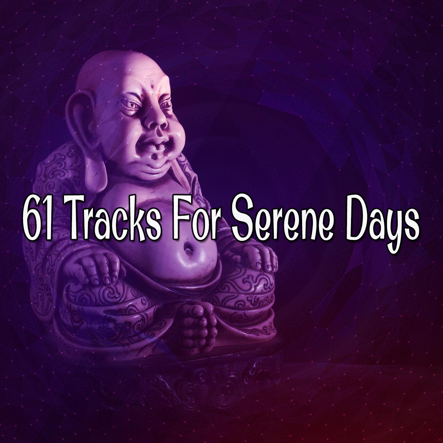 61 Tracks for Serene Days