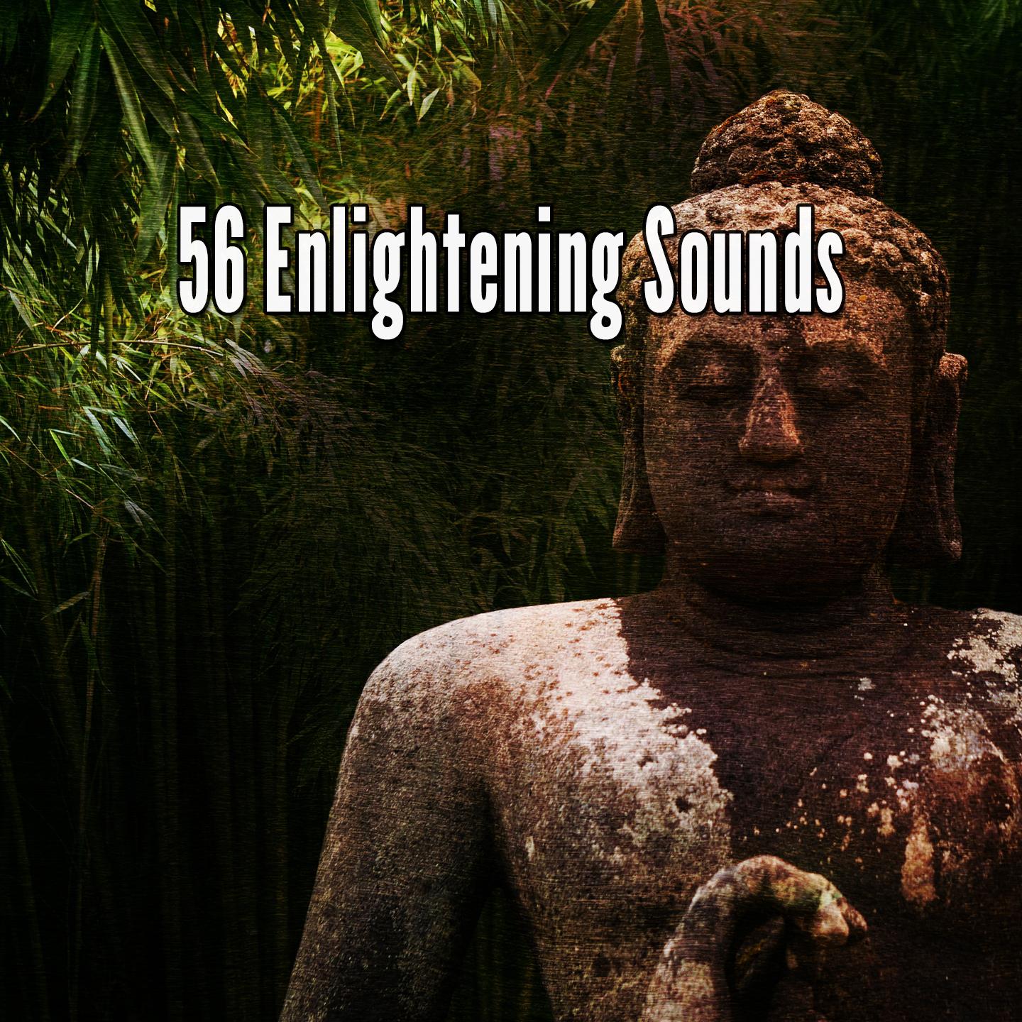 56 Enlightening Sounds
