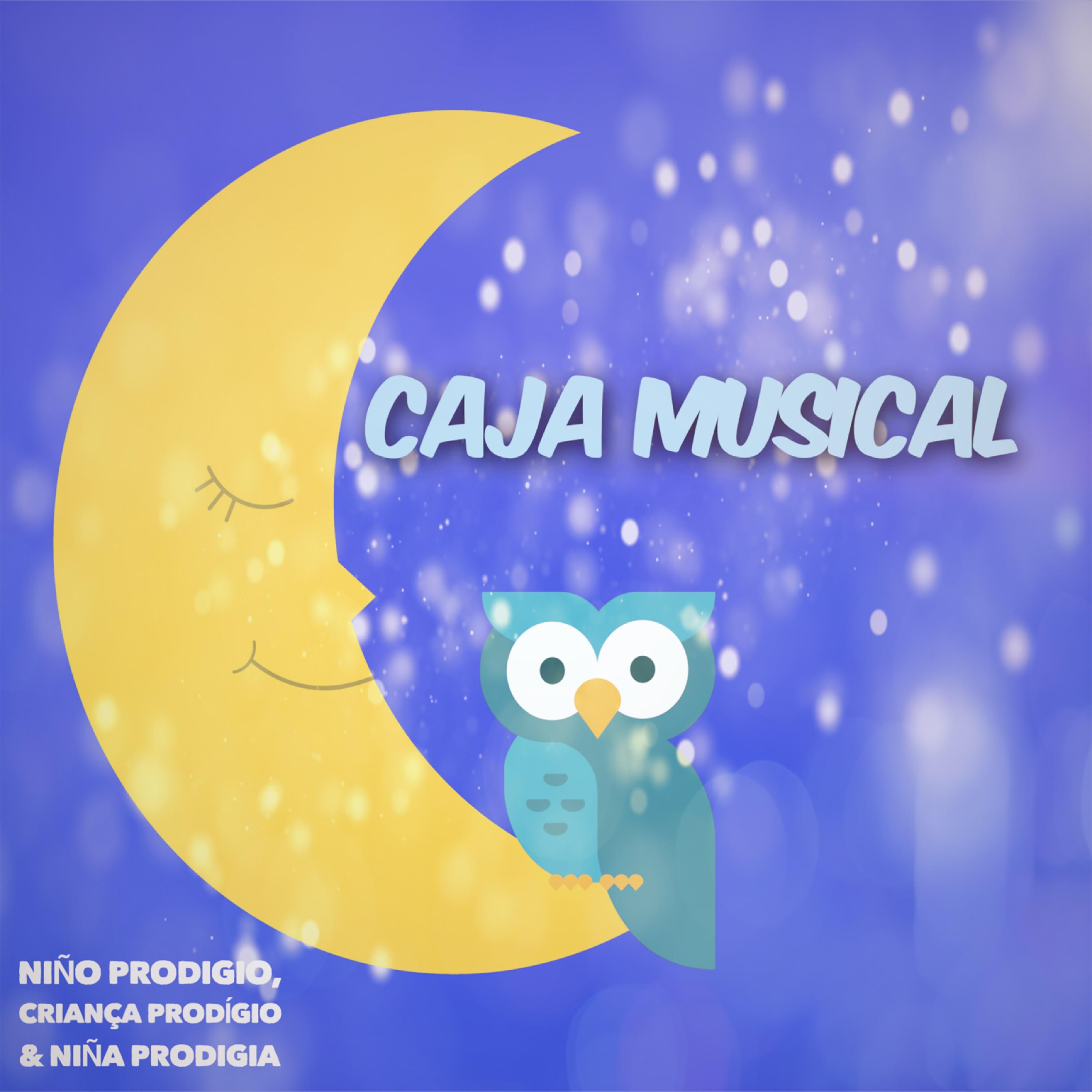 Caja Musical