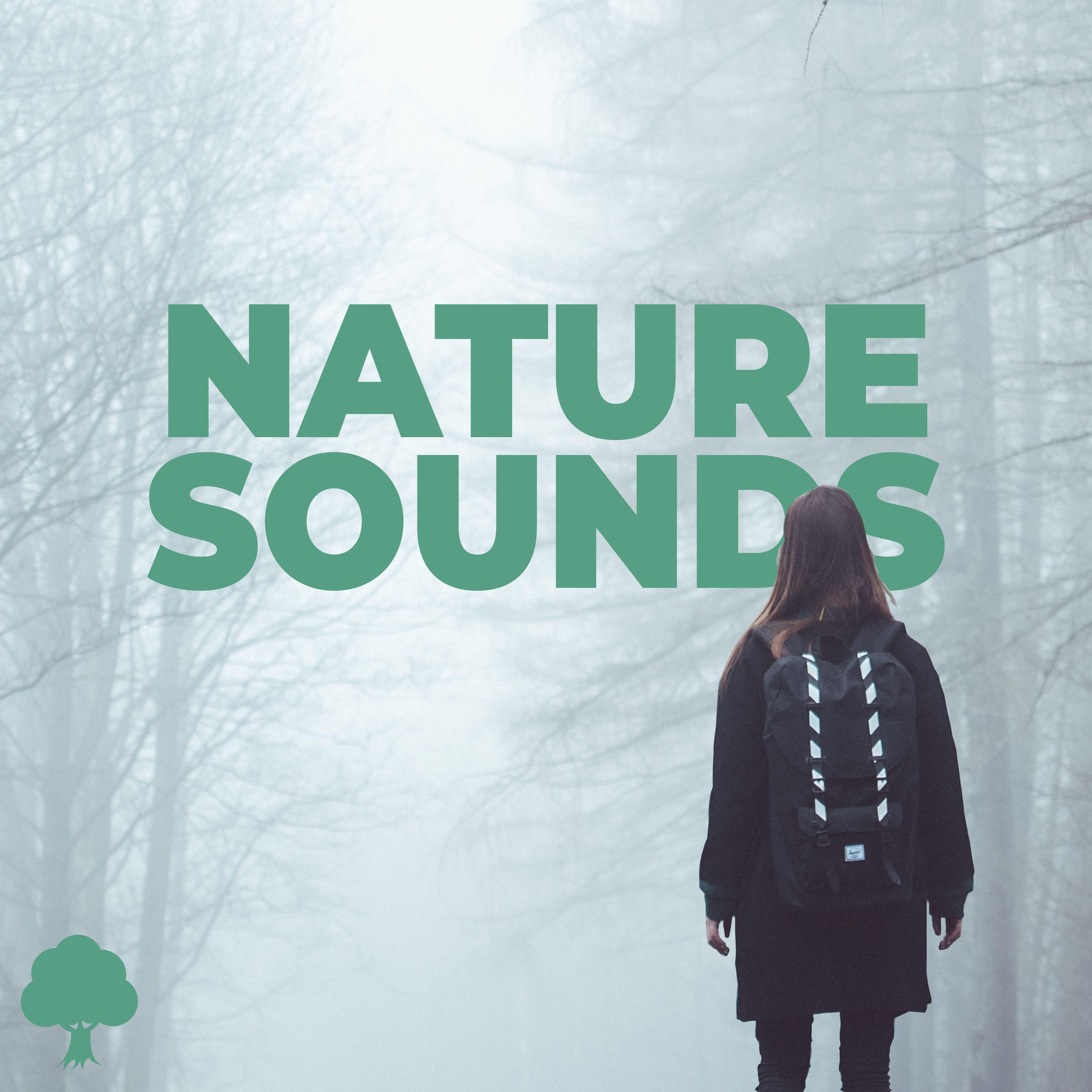 Nature Sounds