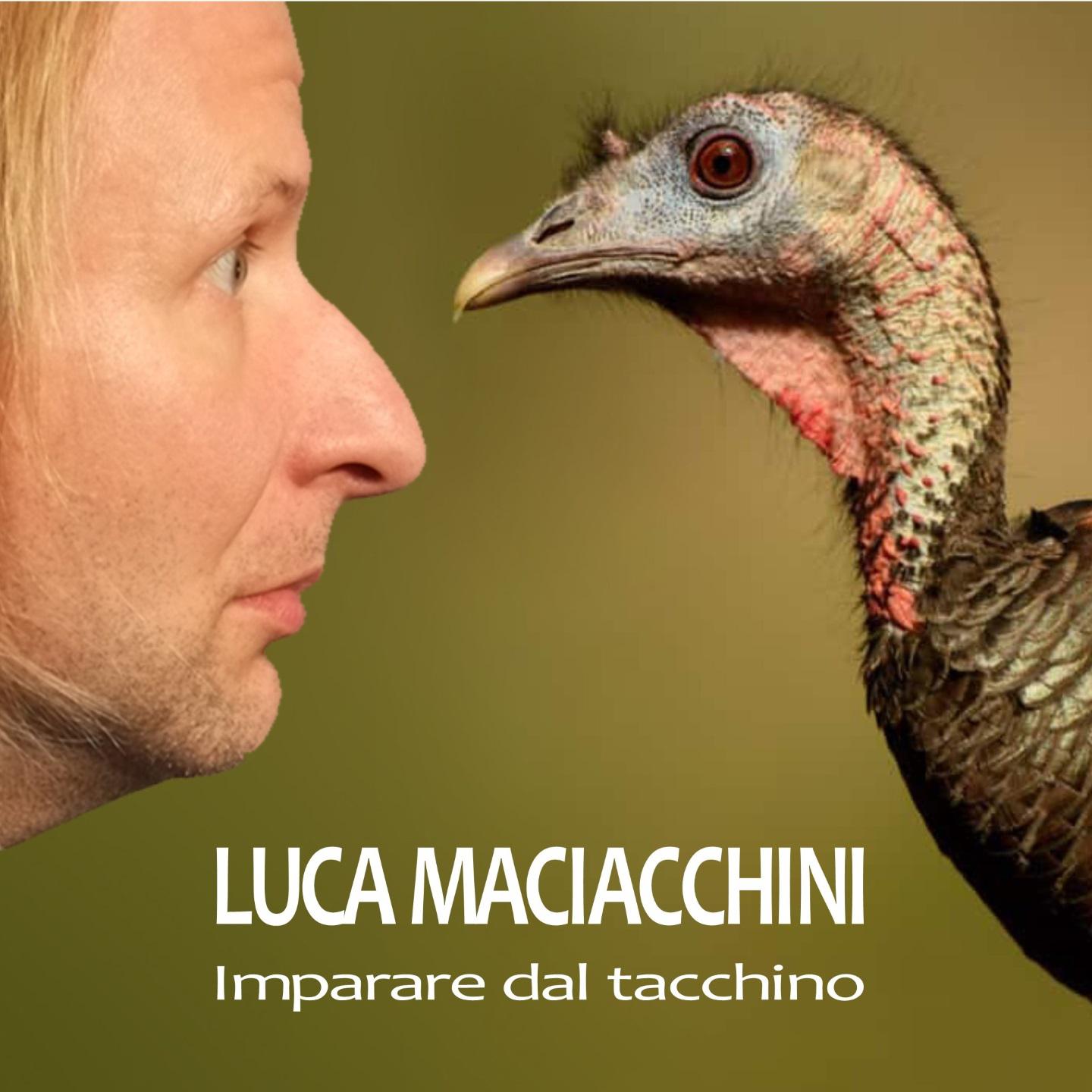 Imparare dal tacchino