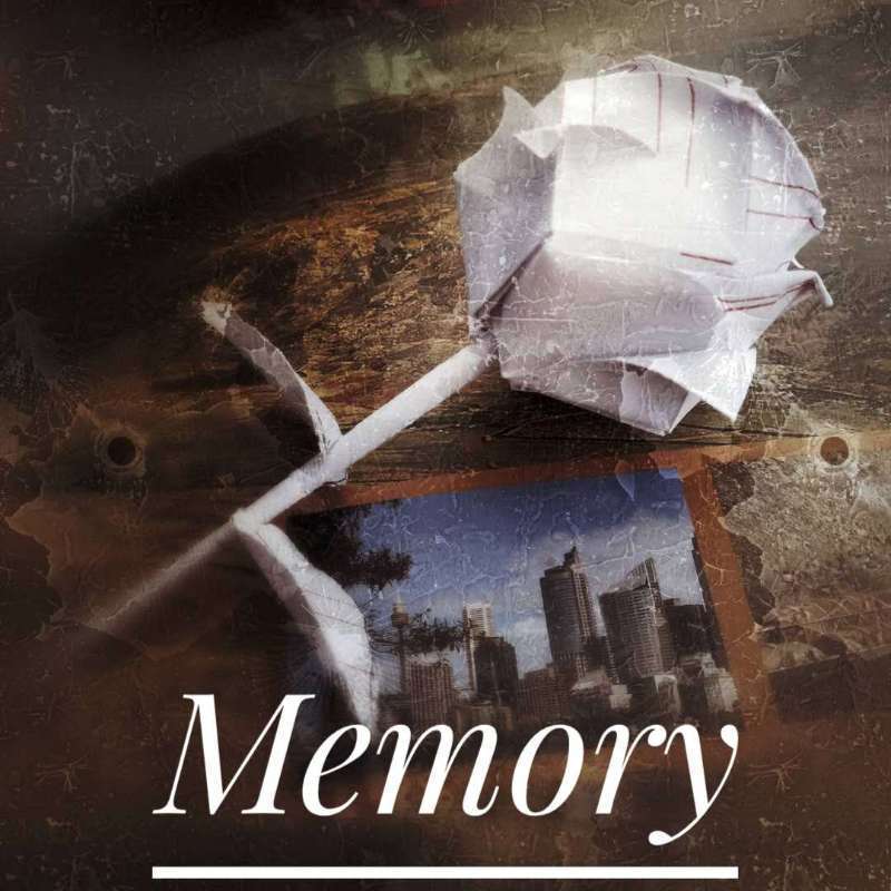 The memory