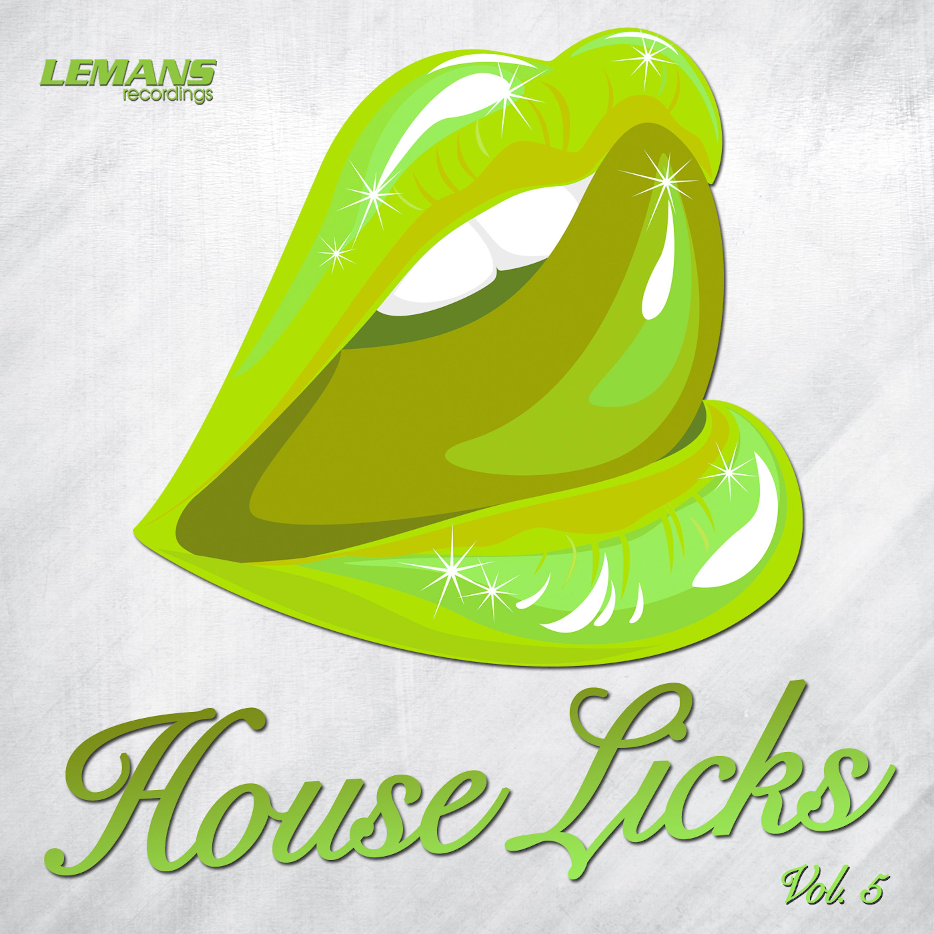 House Licks, Vol. 5