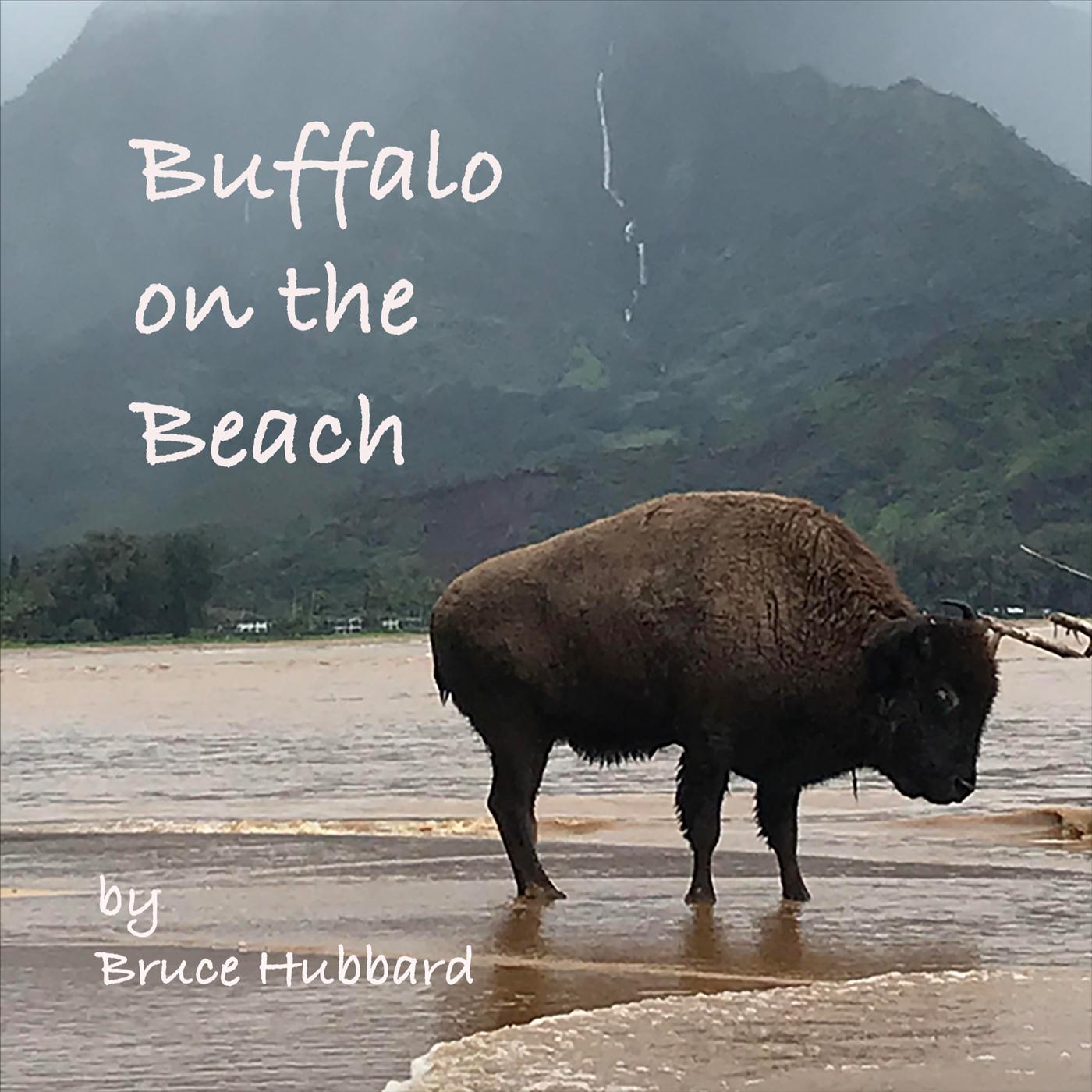 Buffalo on the Beach