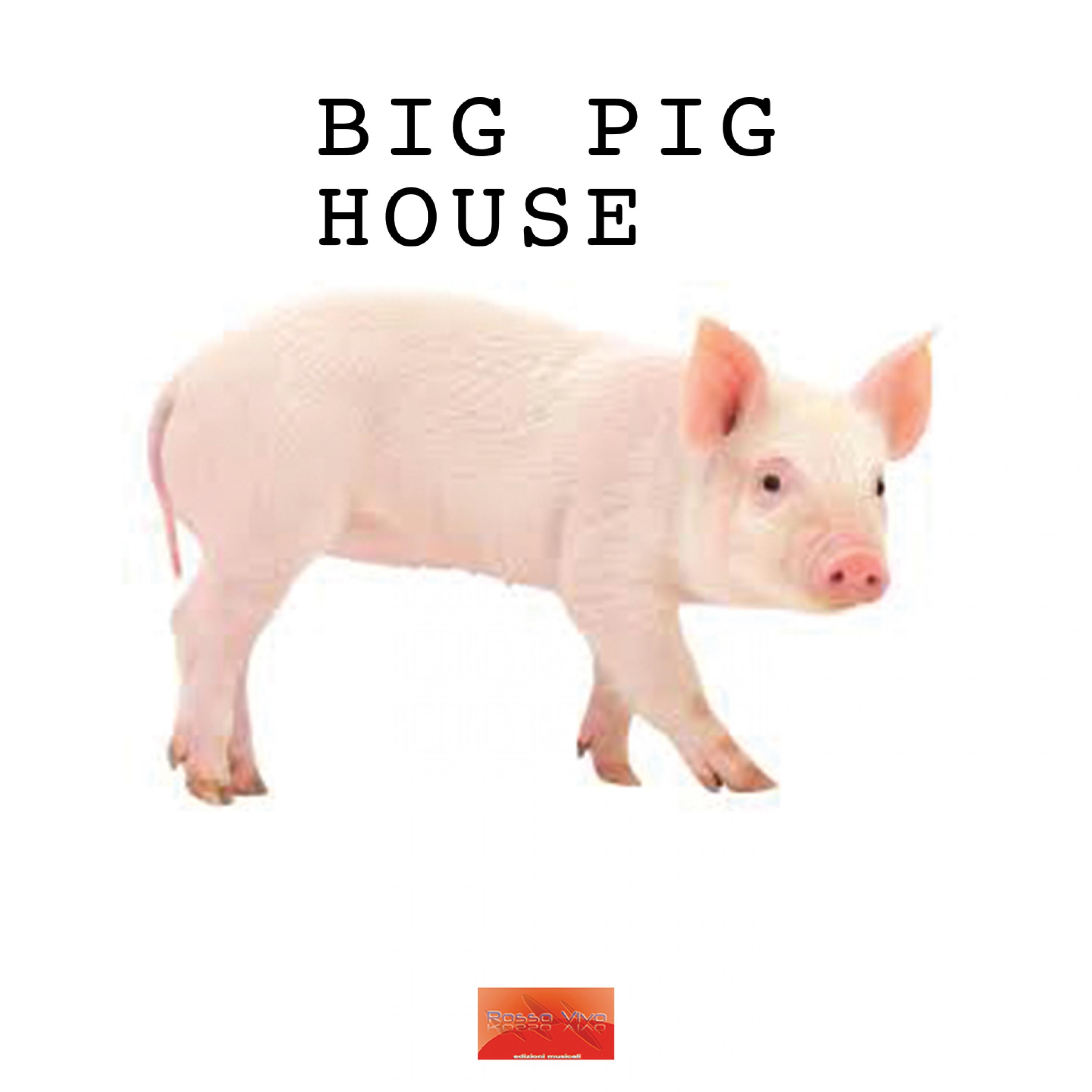 Big Pig House