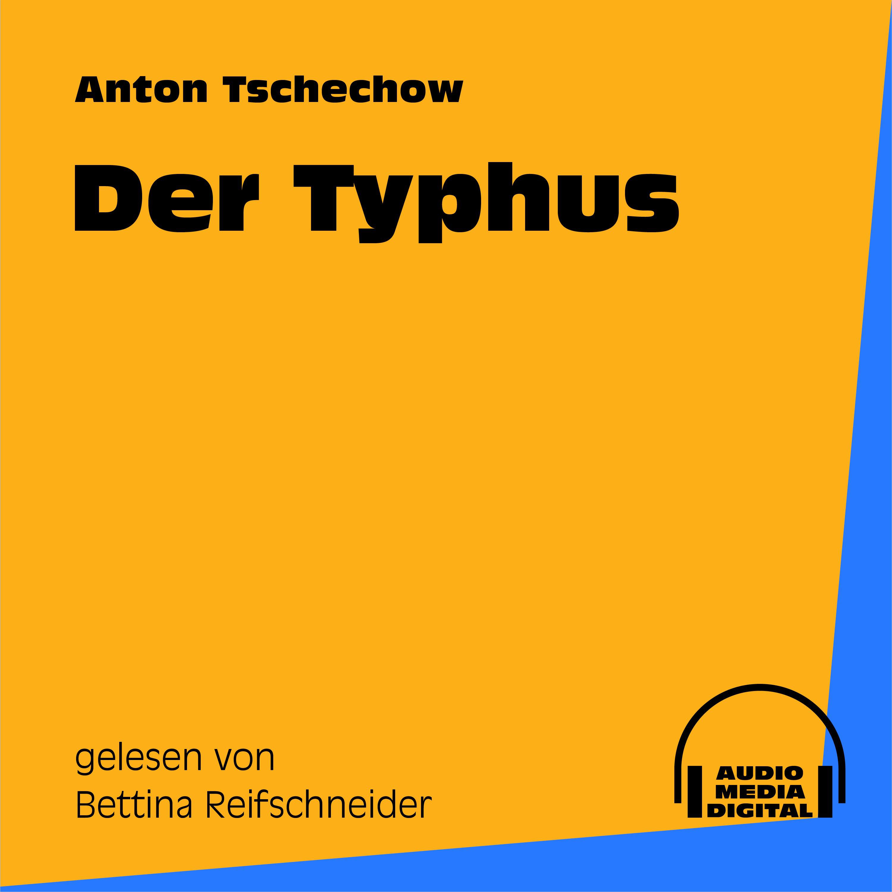 Der Typhus - Teil 11