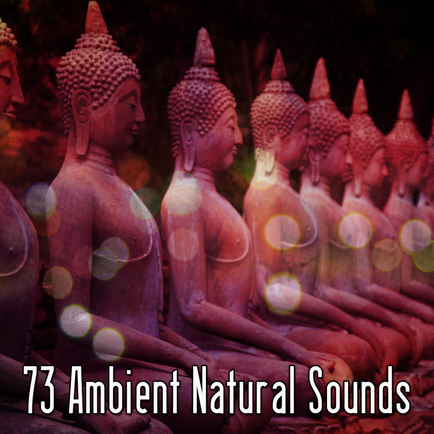 73 Ambient Natural Sounds