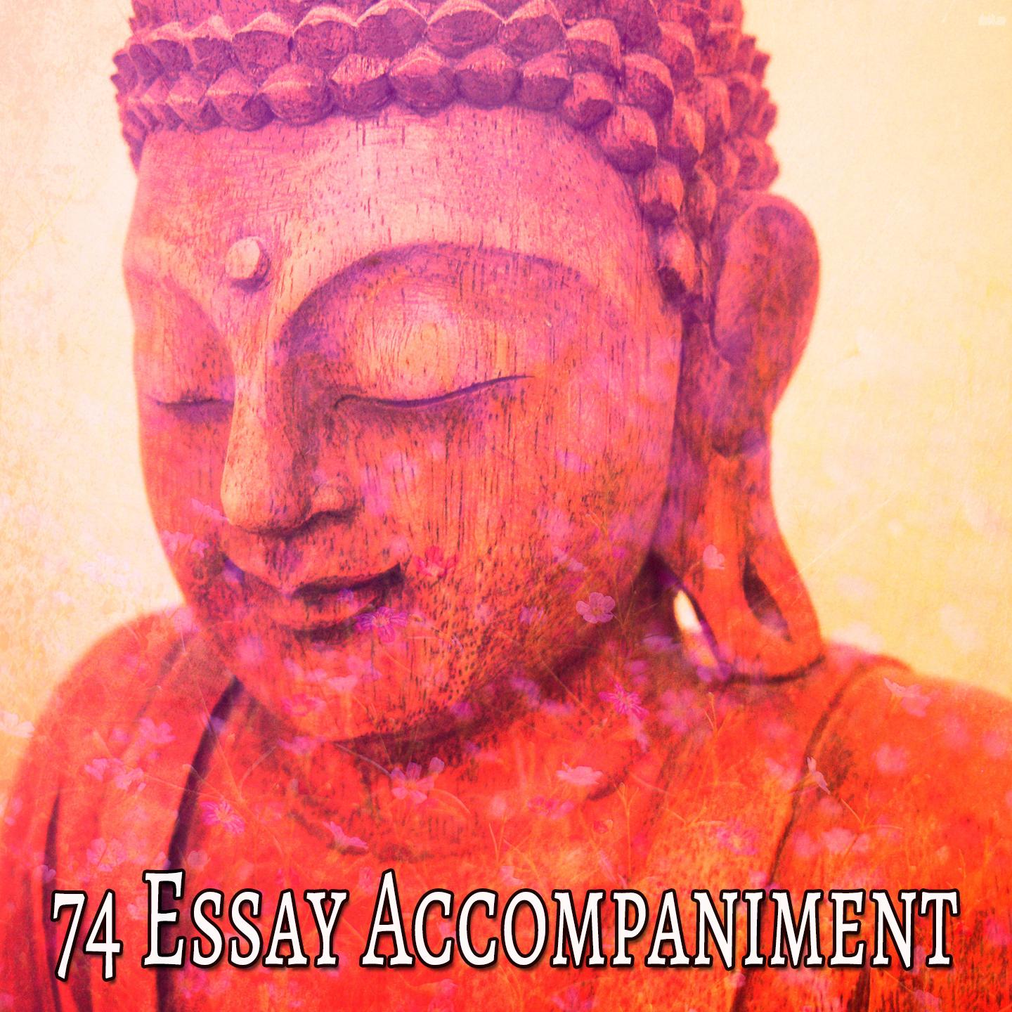 74 Essay Accompaniment