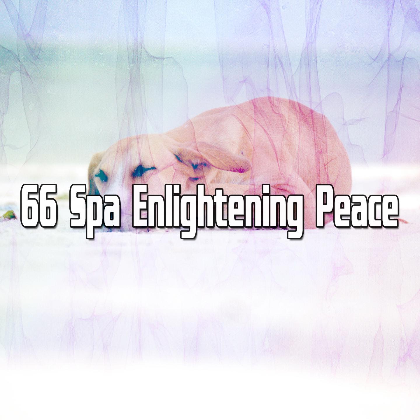 66 Spa Enlightening Peace