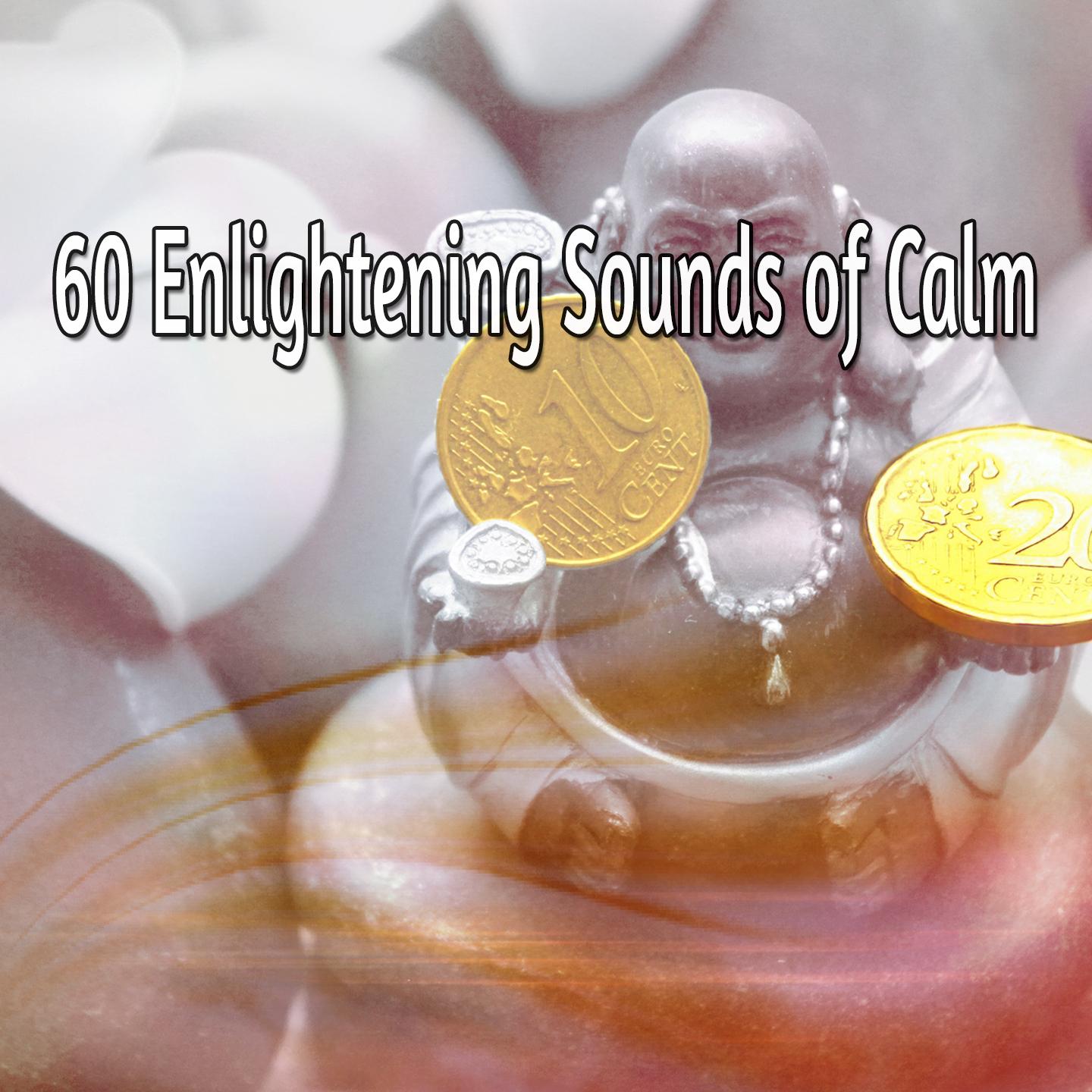 60 Enlightening Sounds of Calm